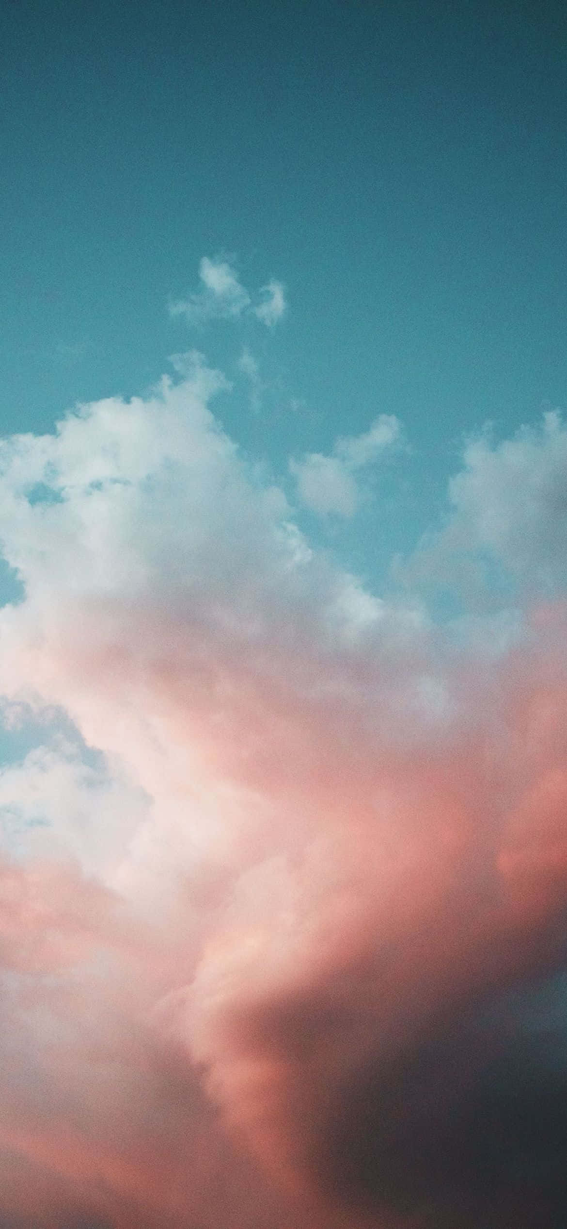 Explora la Vibrante Paleta de Colores de la Naturaleza Fondos de pantalla