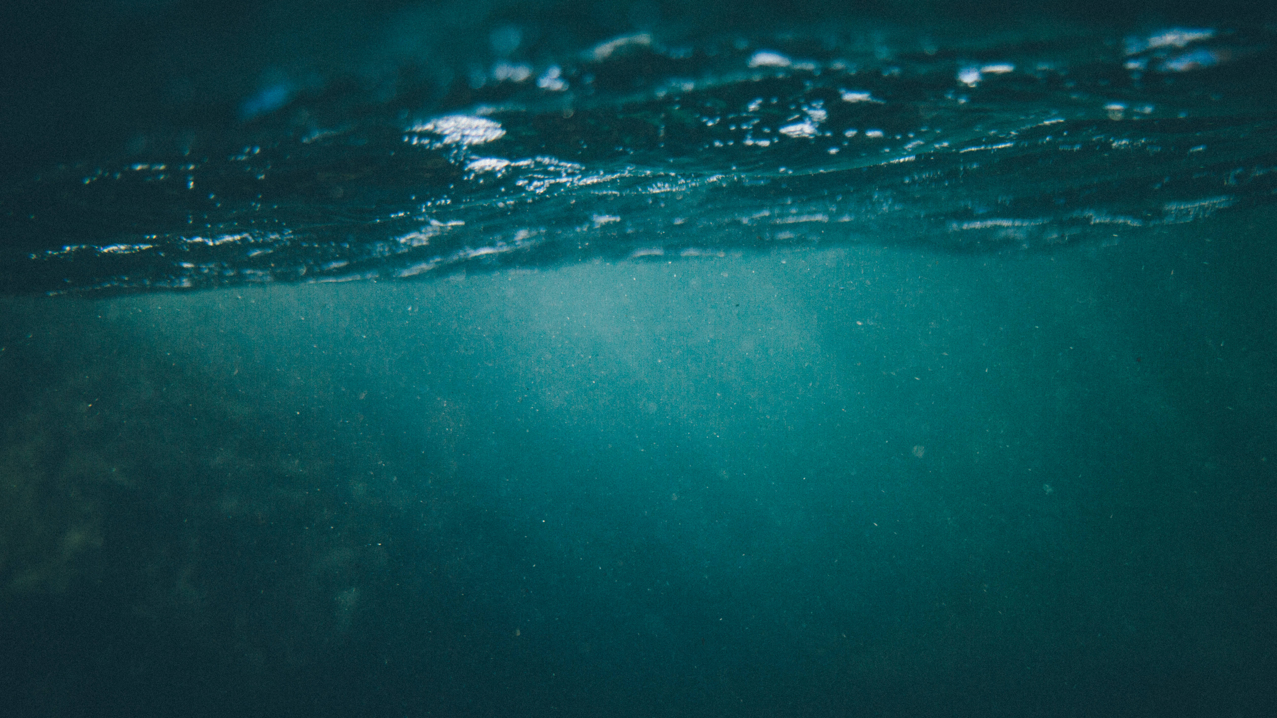 Explora las maravillas de la naturaleza bajo el agua Fondos de pantalla