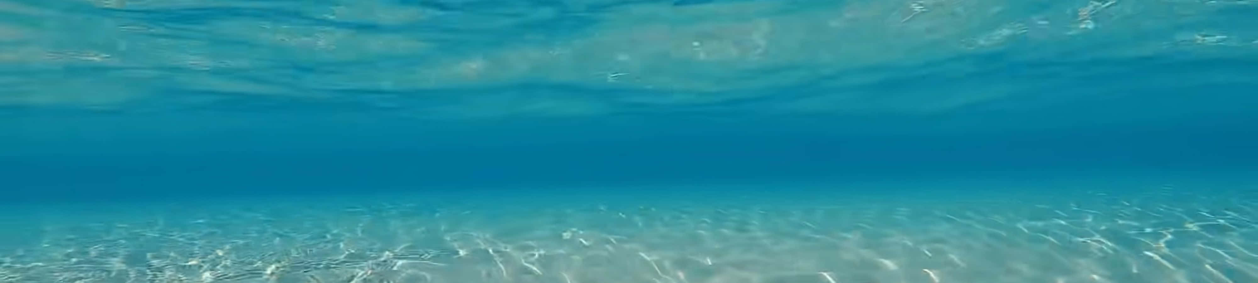 Explora y maravíllate con la impresionante belleza de la naturaleza Fondos de pantalla