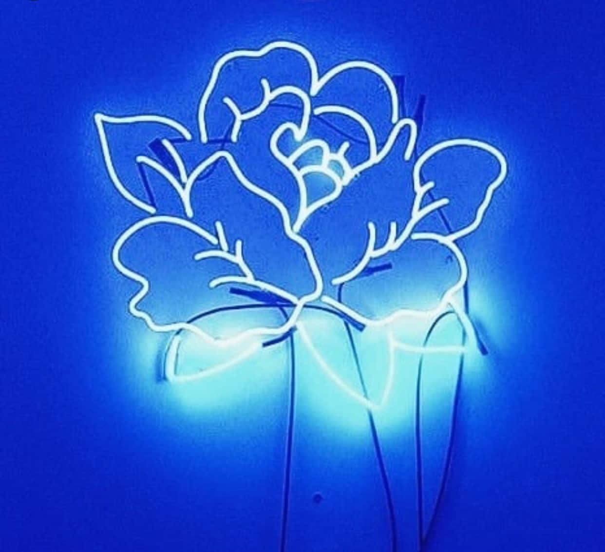 Explorando la belleza surrealista de la estética azul neón Fondos de pantalla