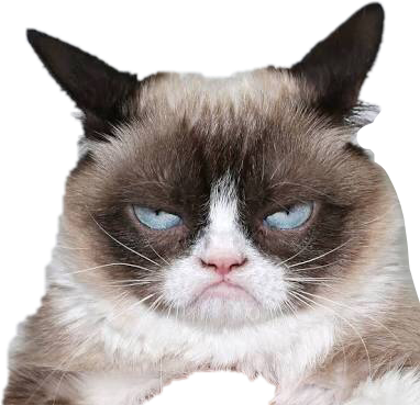 Expresión de Gato Gruñón.PNG Fondos de pantalla