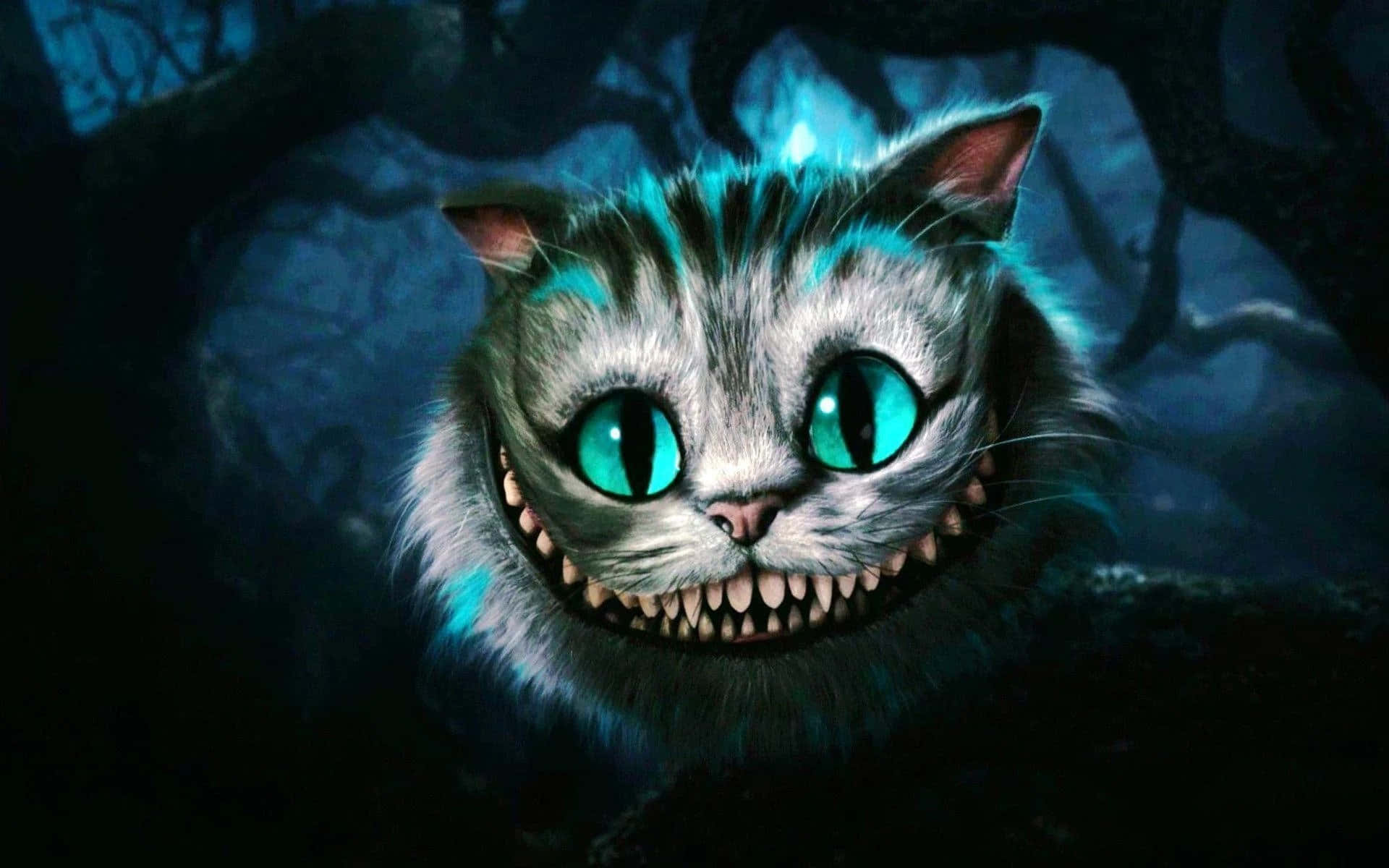 Expresión enigmática y omnisciente del Gato de Cheshire Fondos de pantalla