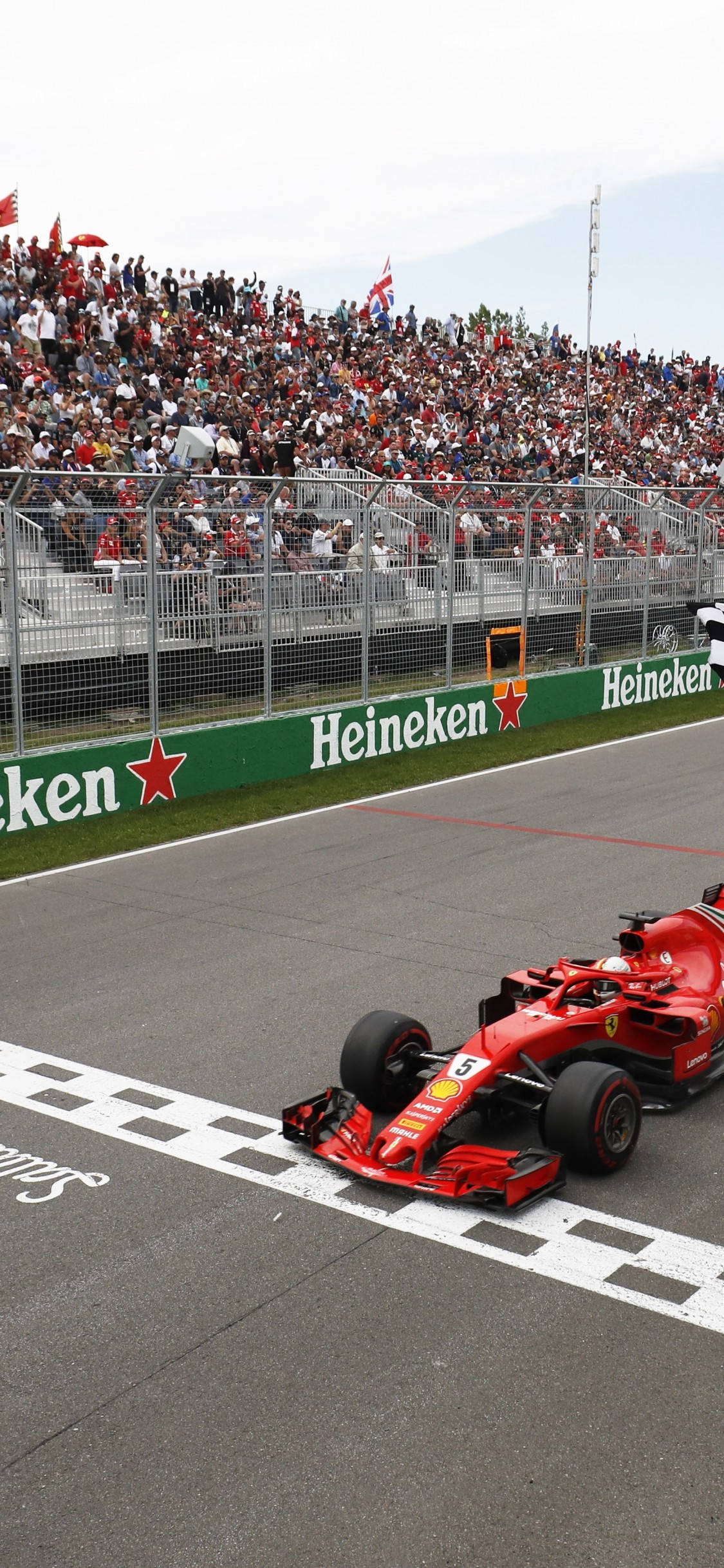 F1 Vettel Línea de Meta iPhone Fondos de pantalla