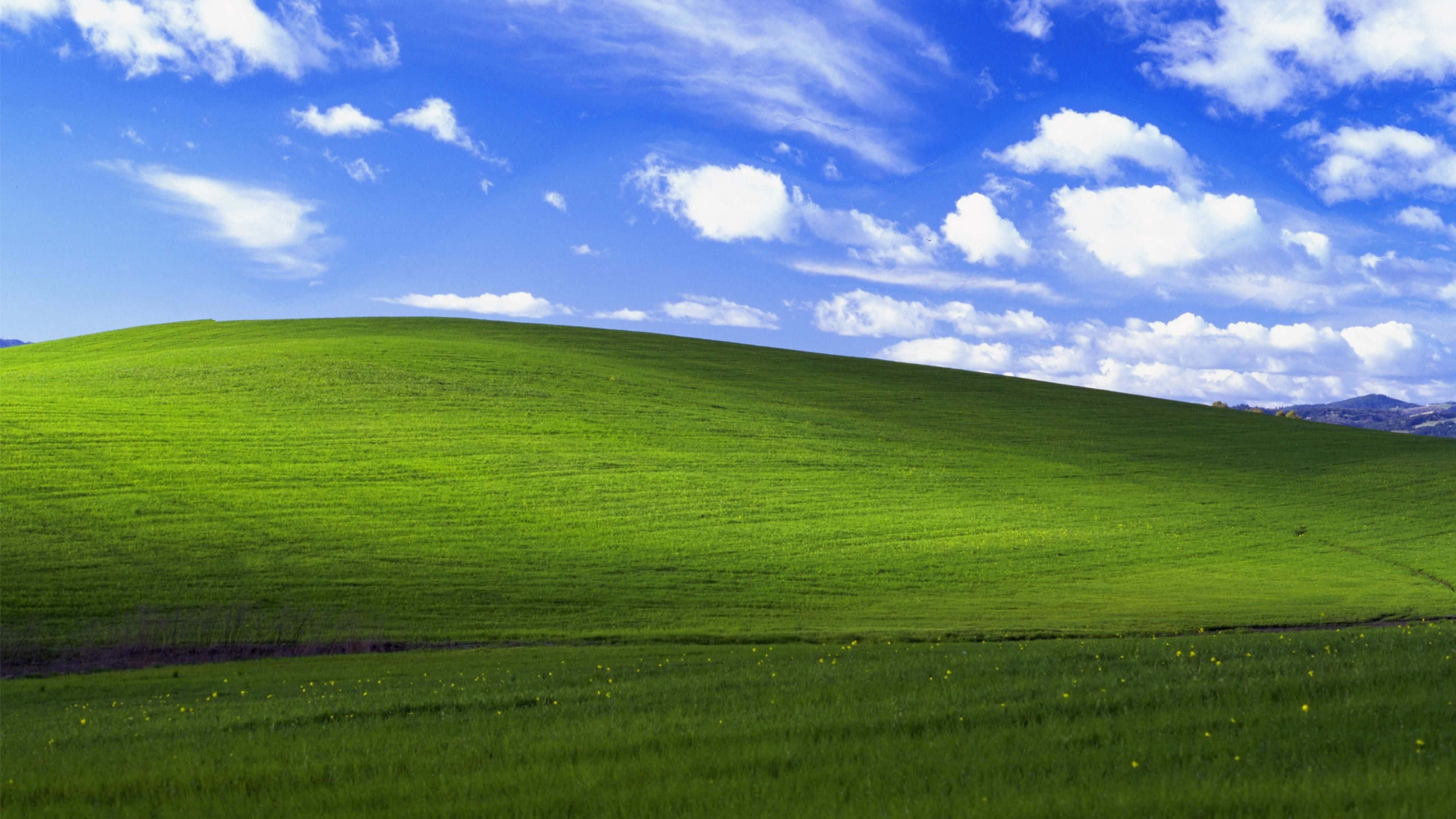 Felicidad Predeterminada de Windows 1 Fondos de pantalla