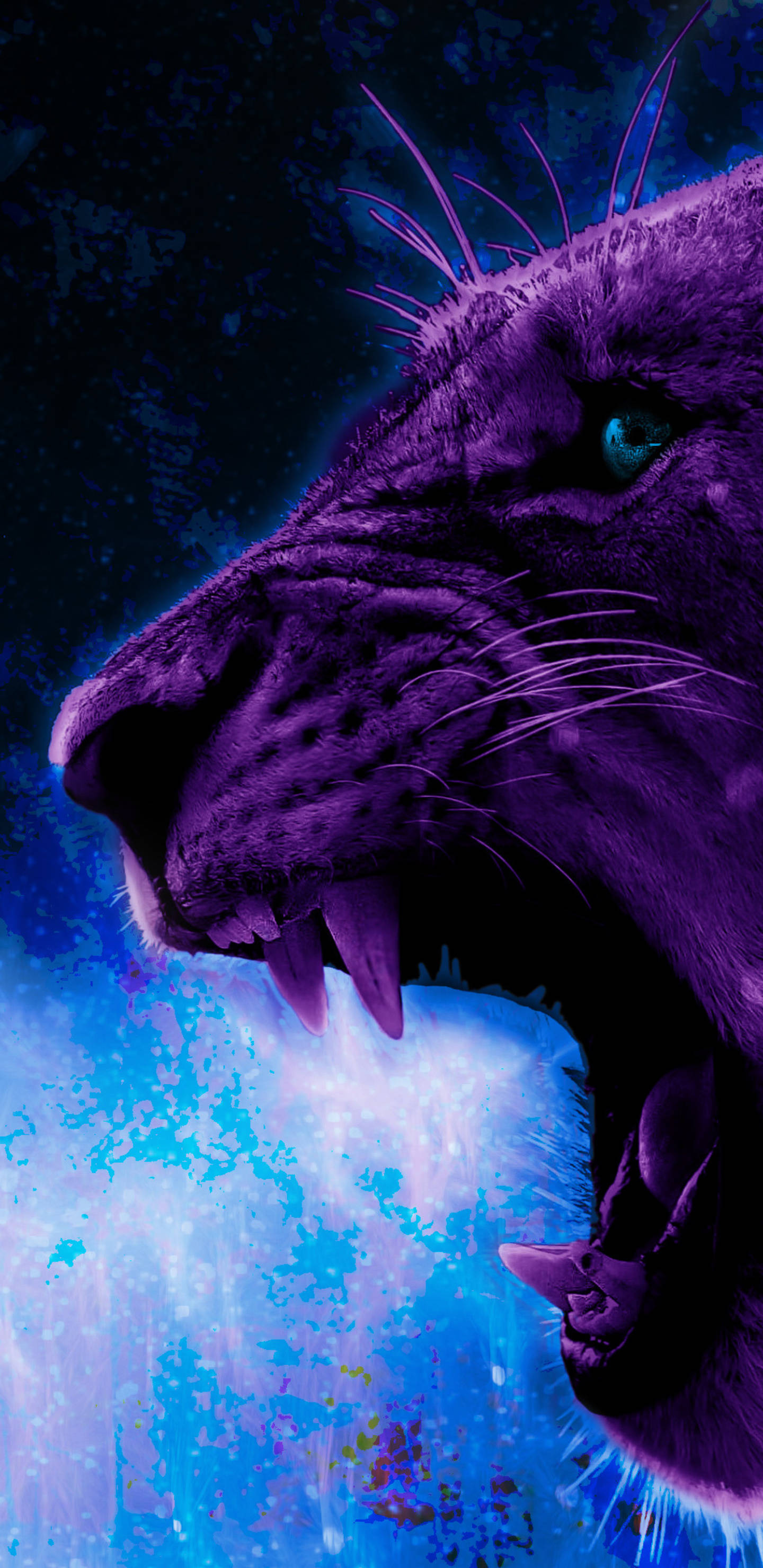 Feroz León Púrpura Galaxia Fondos de pantalla