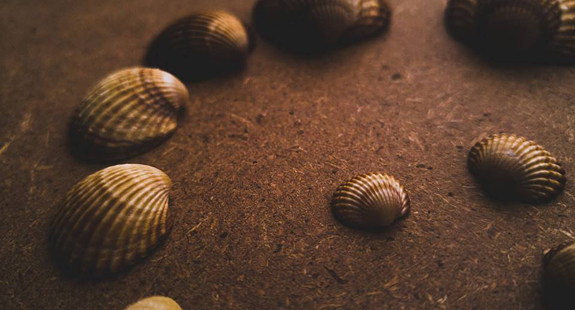 Festín visual de almejas con estética dorada Fondos de pantalla