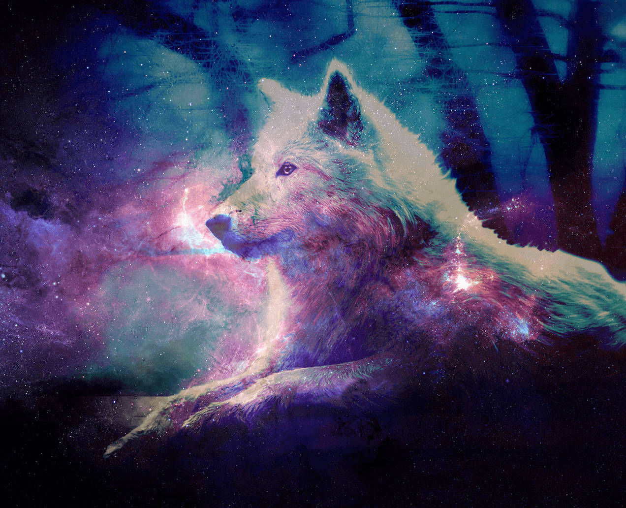Filtro Estelar de Galaxia Genial sobre Lobo Fondos de pantalla