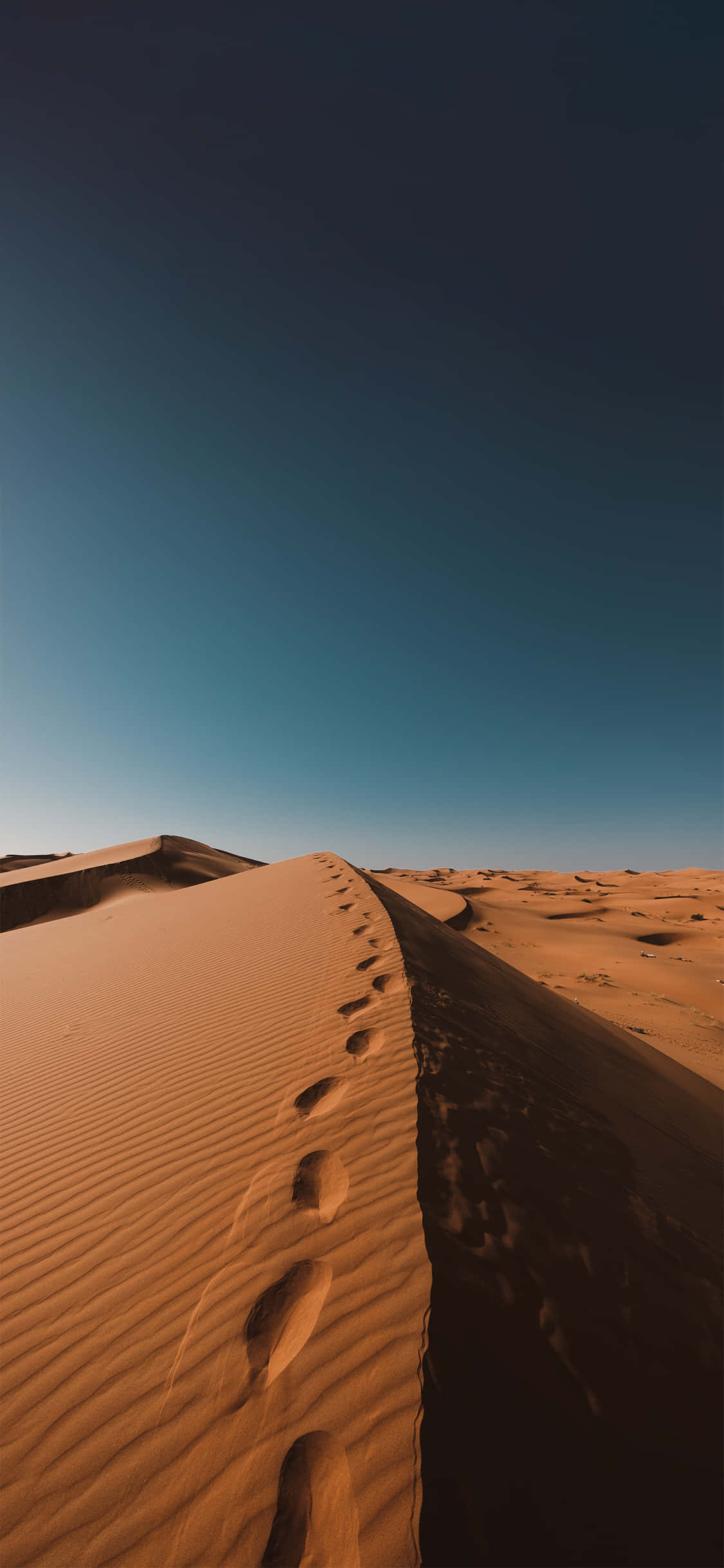 Fina Arena del Desierto del Sahara iPhone Fondos de pantalla