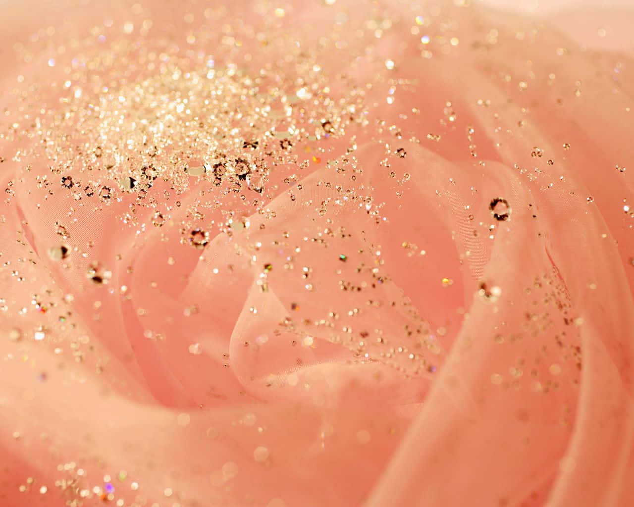 Flor con fondo de brillo rosa dorado Fondos de pantalla