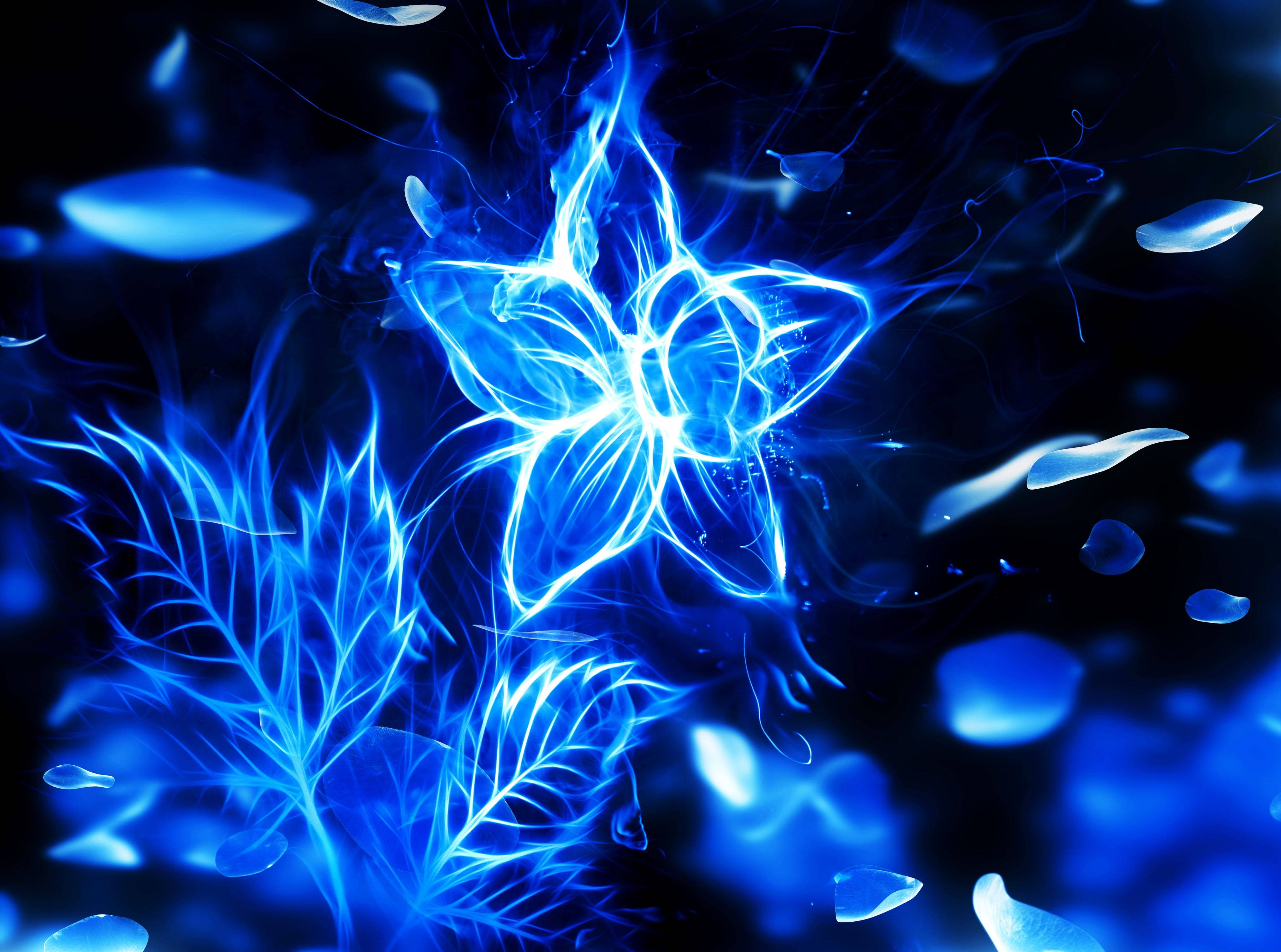 Flor de fuego azul Fondos de pantalla