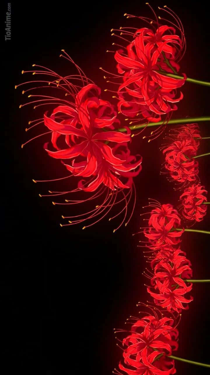 Flor de Tokyo Ghoul