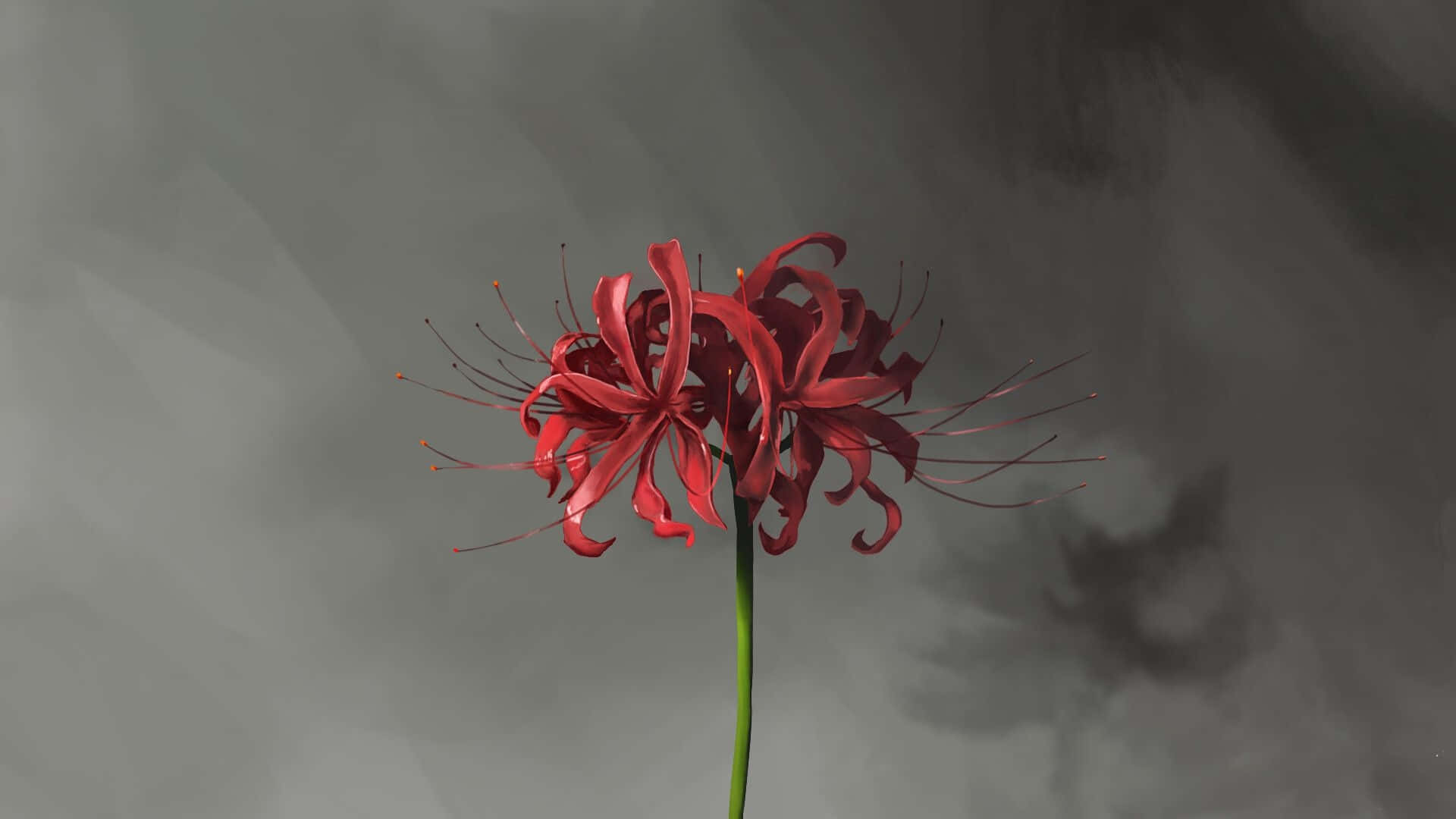 Flor de Tokyo Ghoul con Sombra Fondos de pantalla
