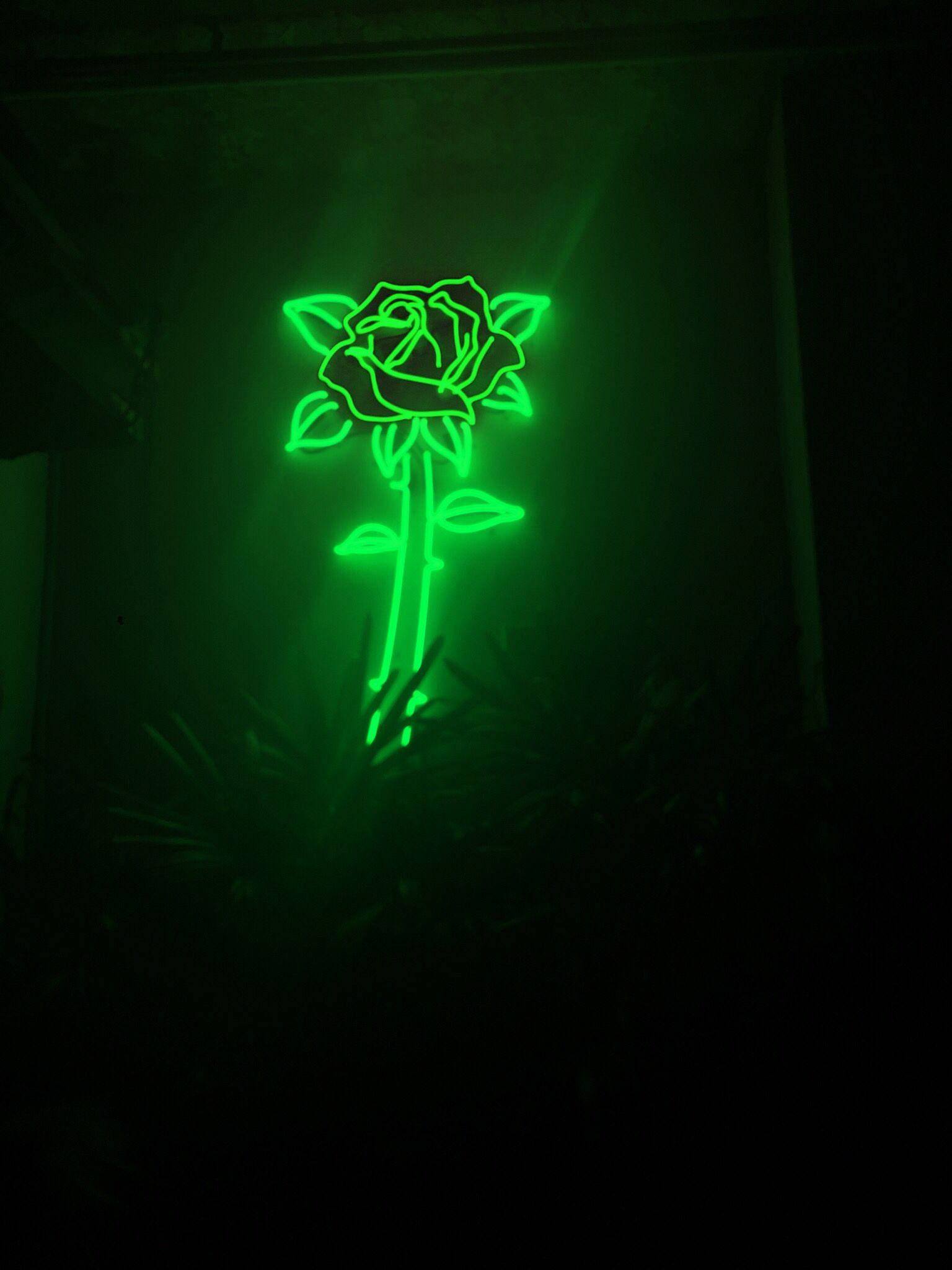Flor estética verde claro con luz neón Fondos de pantalla