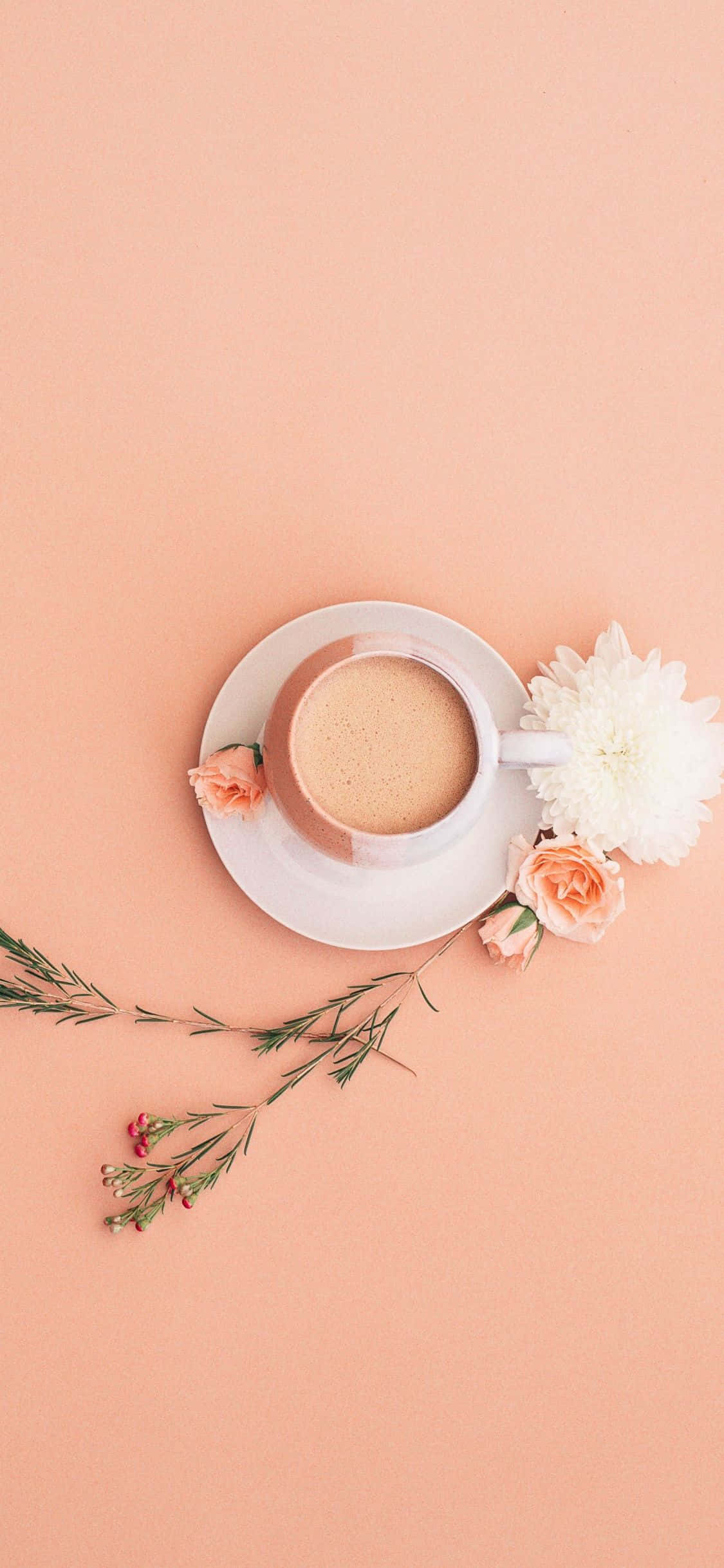 Flor minimalista y taza de café Fondos de pantalla