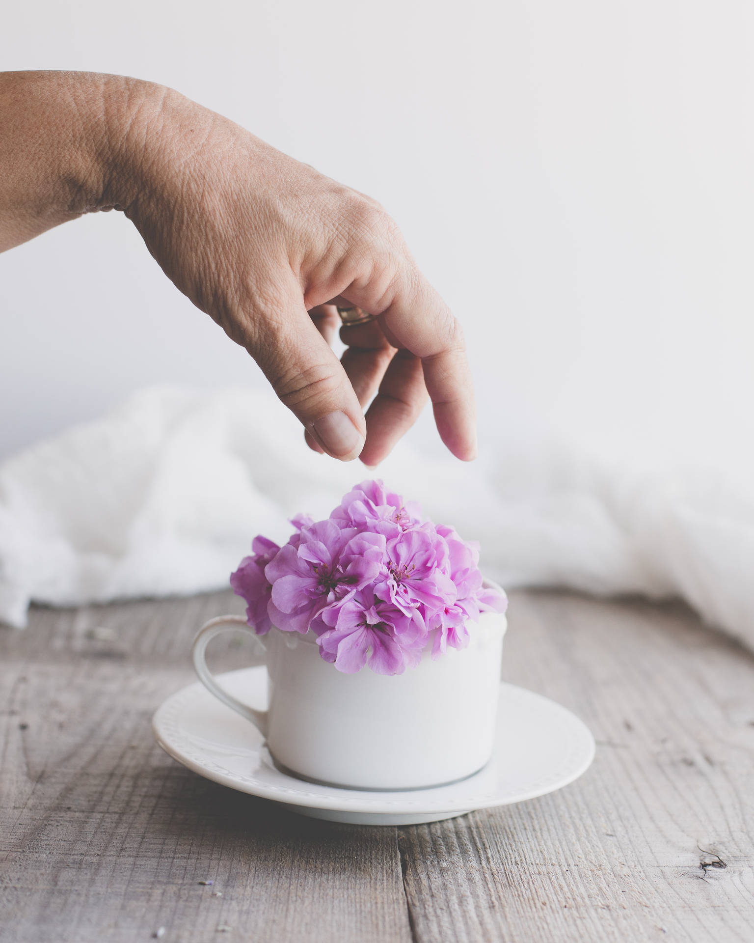 Fondo de pantalla de una elegante flor morada sobre una taza blanca en una fina mesa de madera.