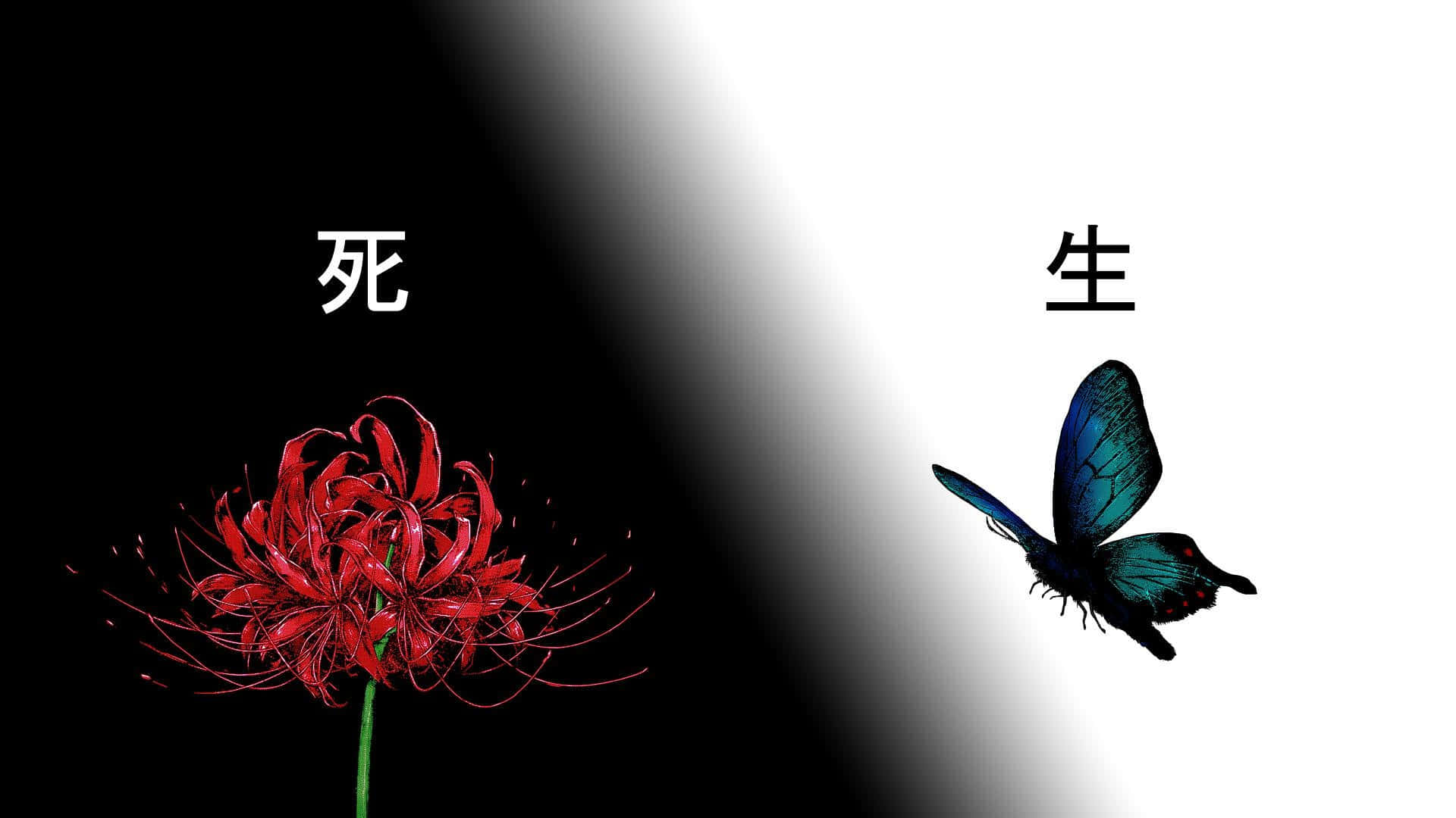 Flor y Mariposa de Tokyo Ghoul Fondos de pantalla