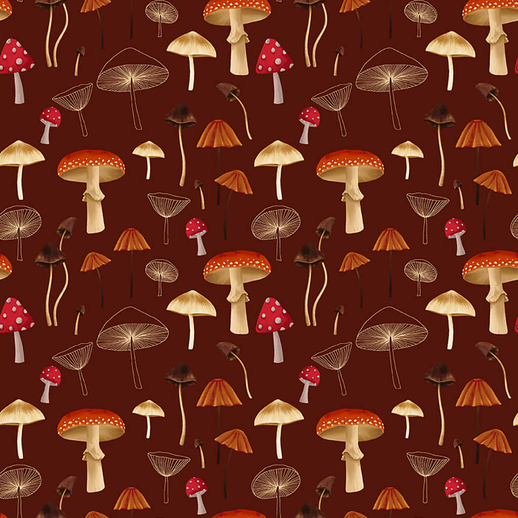 Flora de Hongo Vintage y Lindo Fondos de pantalla