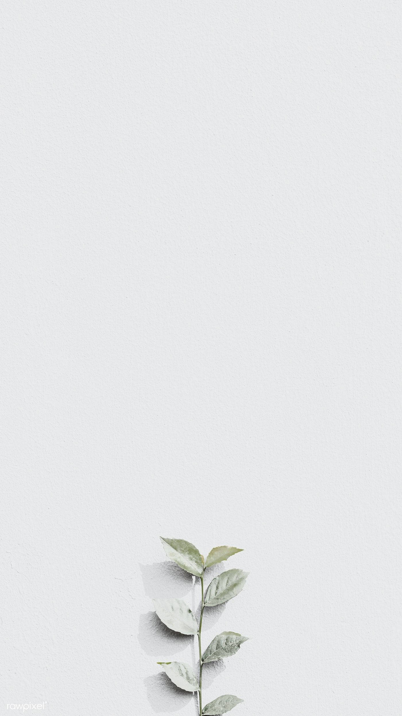 Floración estética en gris claro Fondos de pantalla