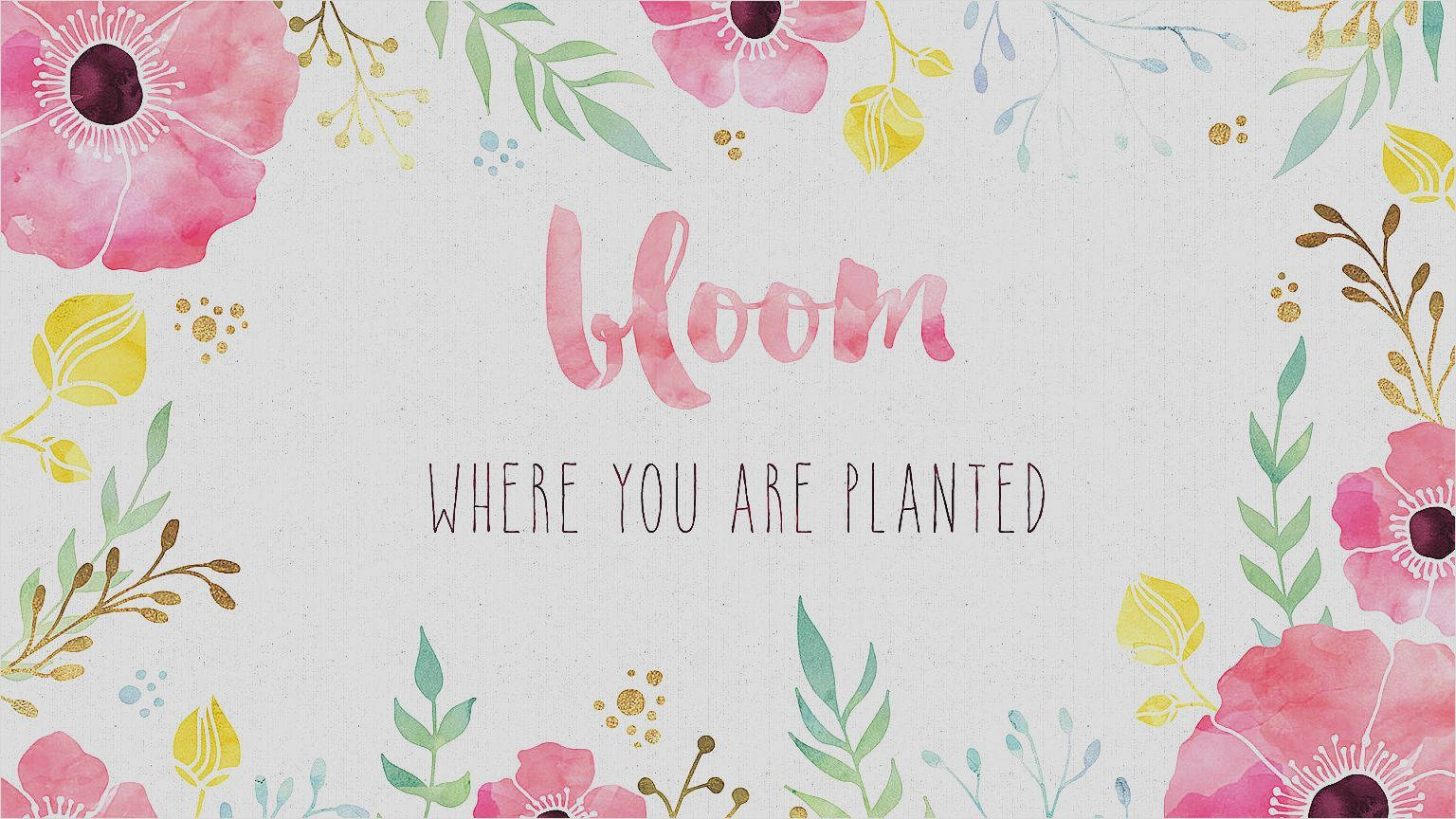 Floración Femenina y Linda Fondos de pantalla