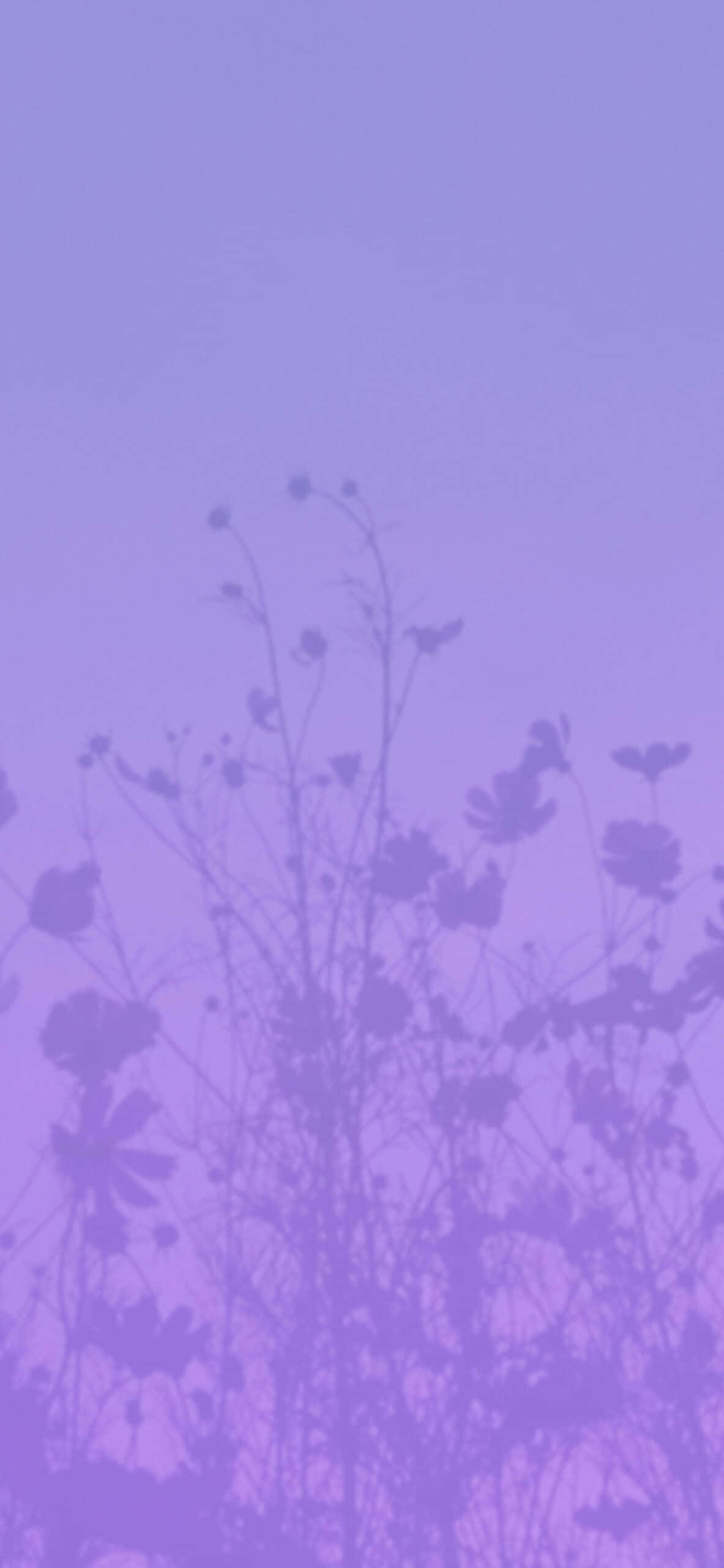 Florece en un púrpura estético Fondos de pantalla