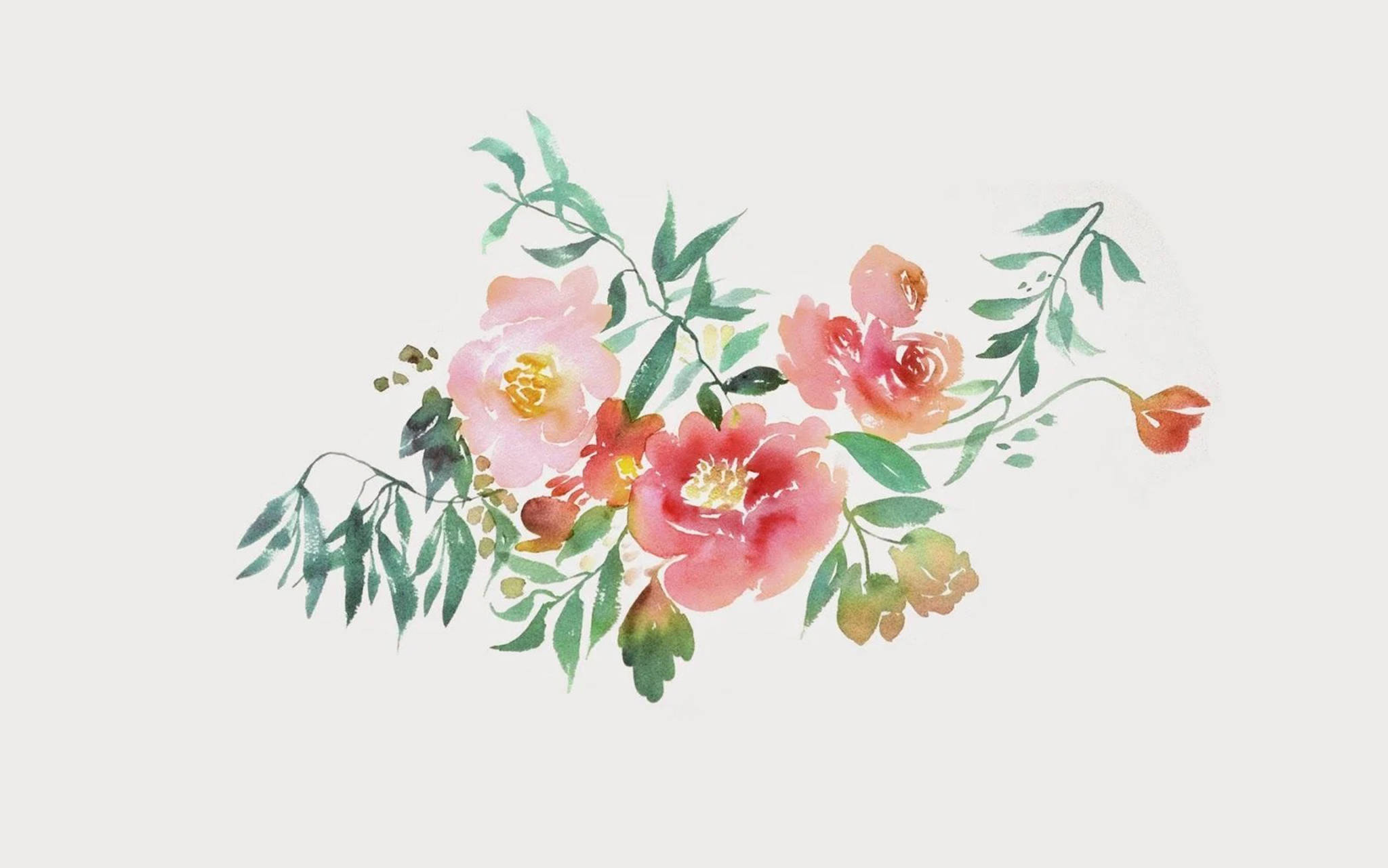 Flores Acuarela Estéticas para Escritorio Fondos de pantalla