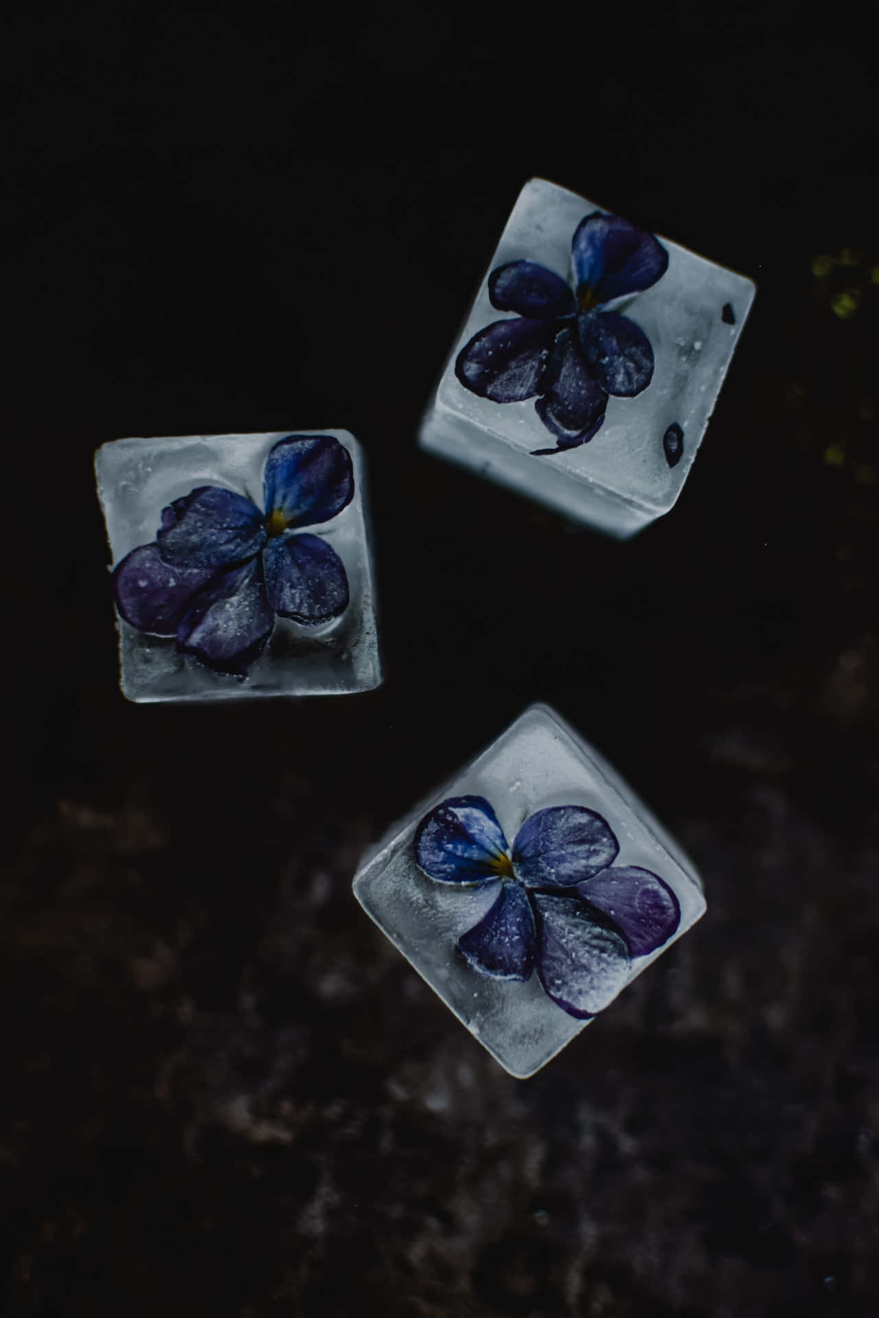 Flores Azules Congeladas en Hielo para Teléfono Fondos de pantalla