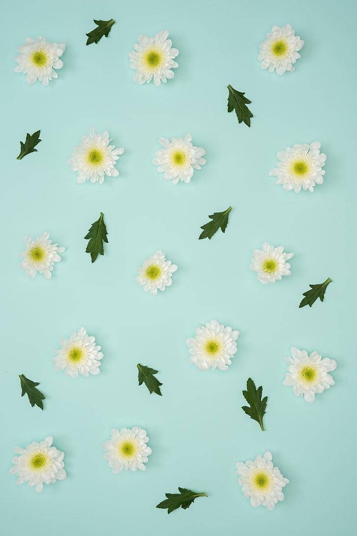 Flores Azules Pastel para iPhone Fondos de pantalla