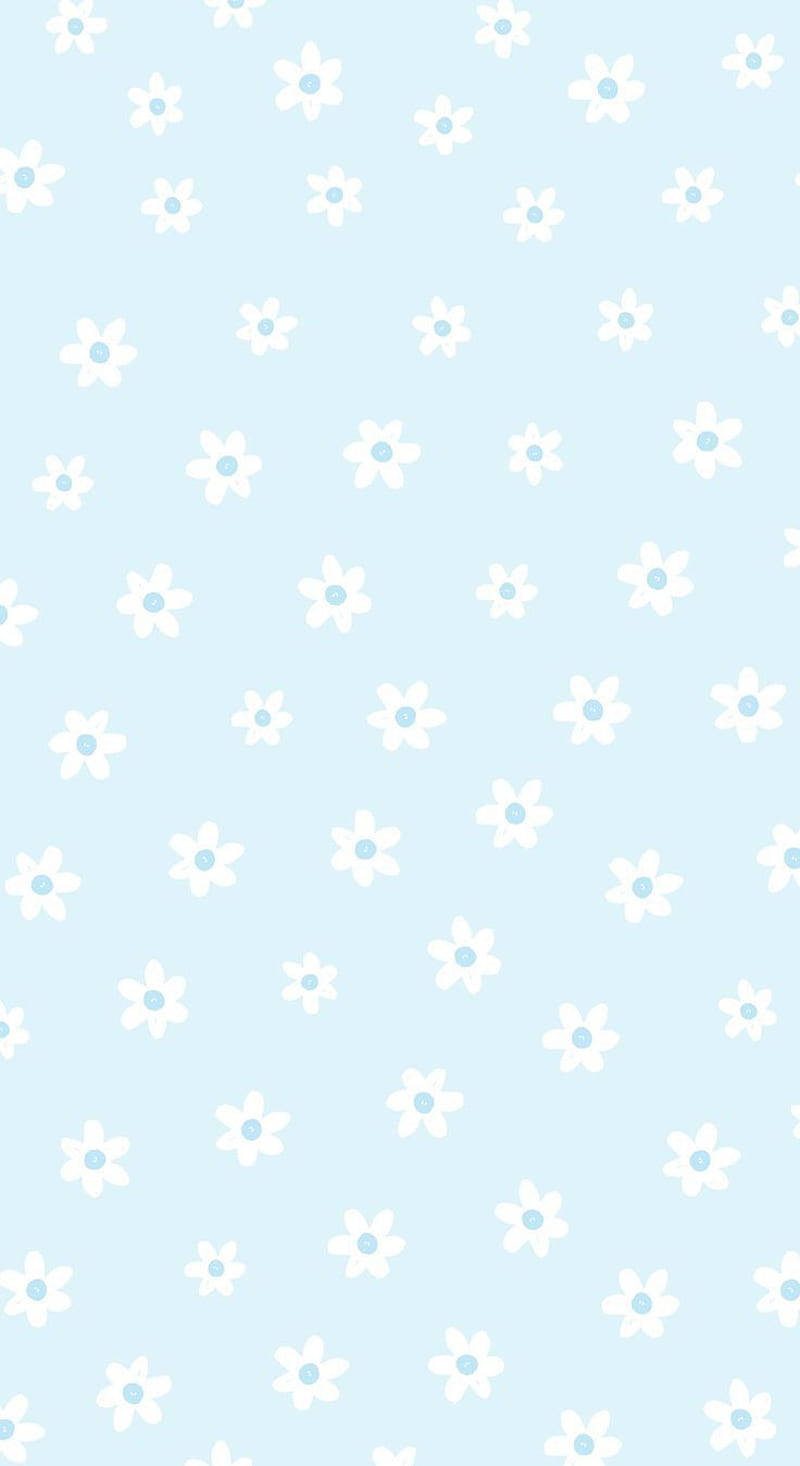 Flores blancas estéticas en azul pastel Fondos de pantalla