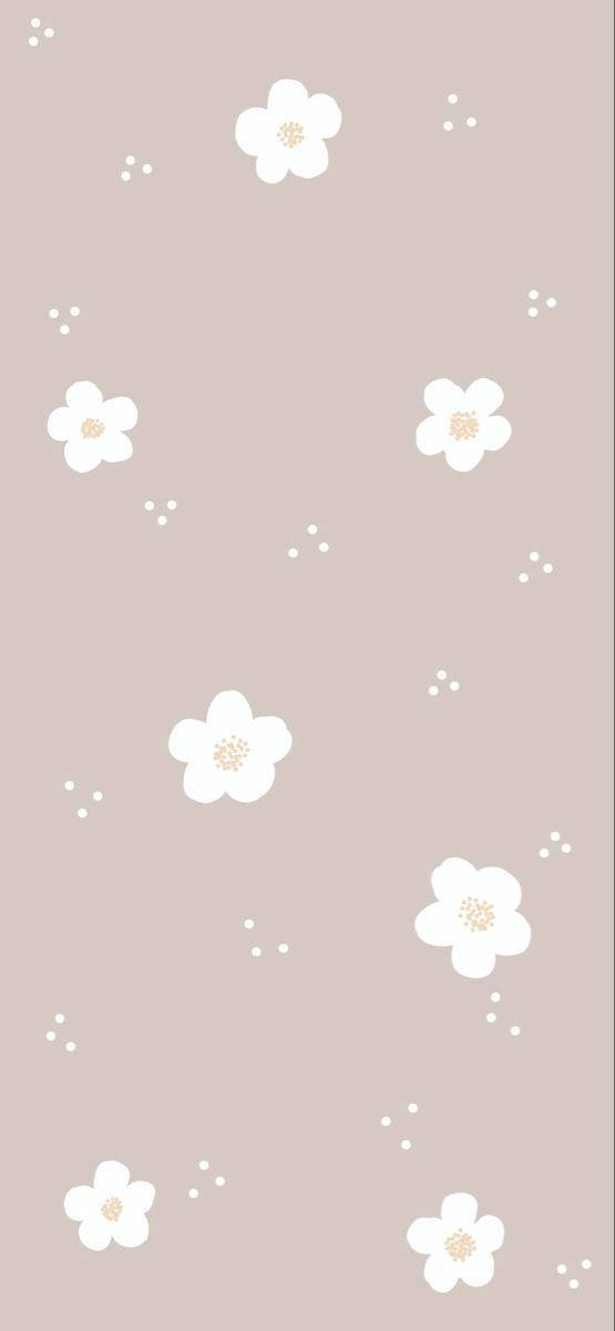 Flores Blancas Simples y Tiernas Sin Tallo Fondos de pantalla