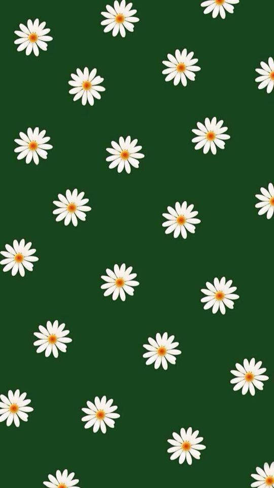 Flores Blancas sobre Fondo Verde Oscuro Fondos de pantalla