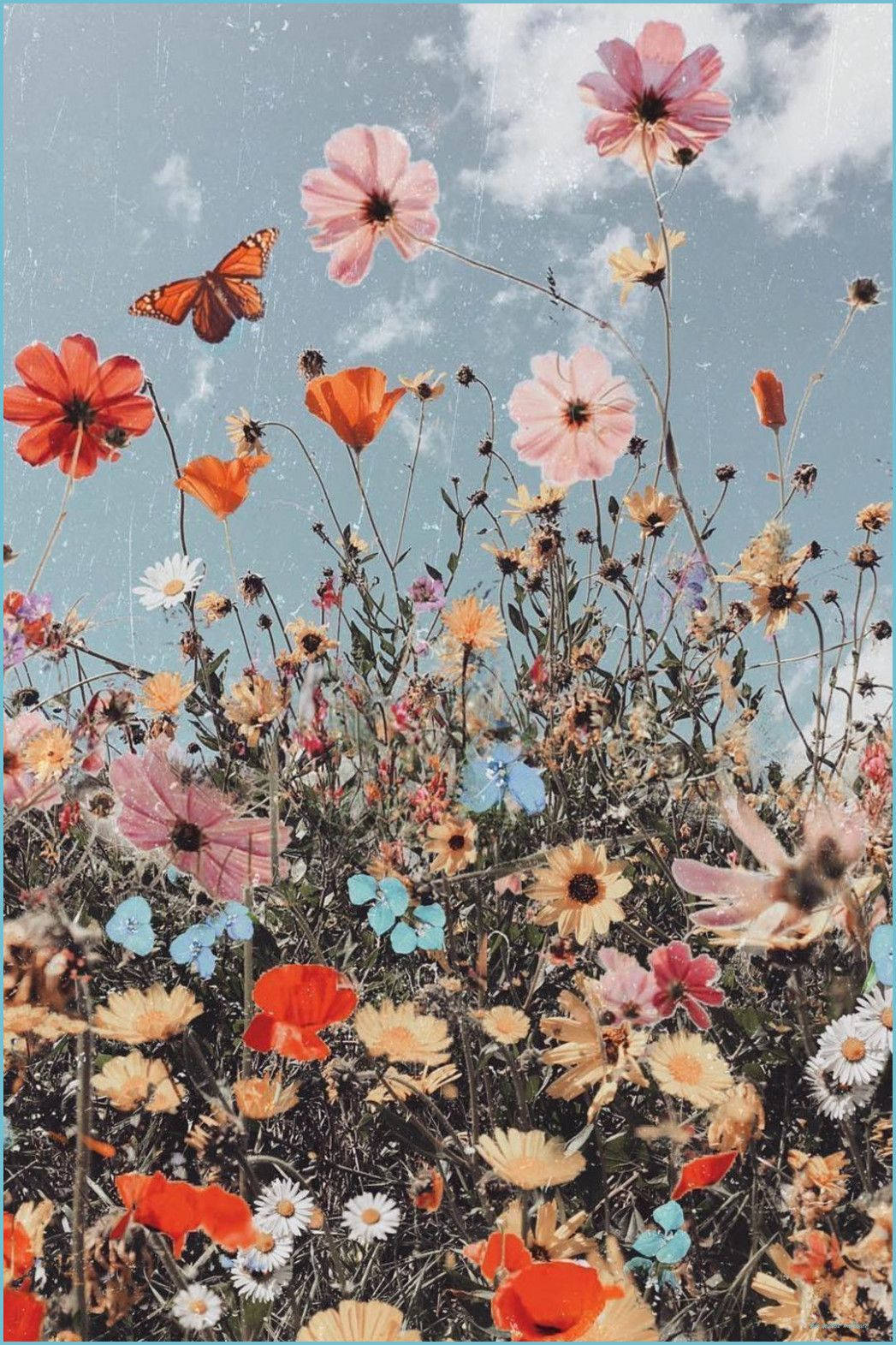 Flores Boho Estéticas Fondos de pantalla