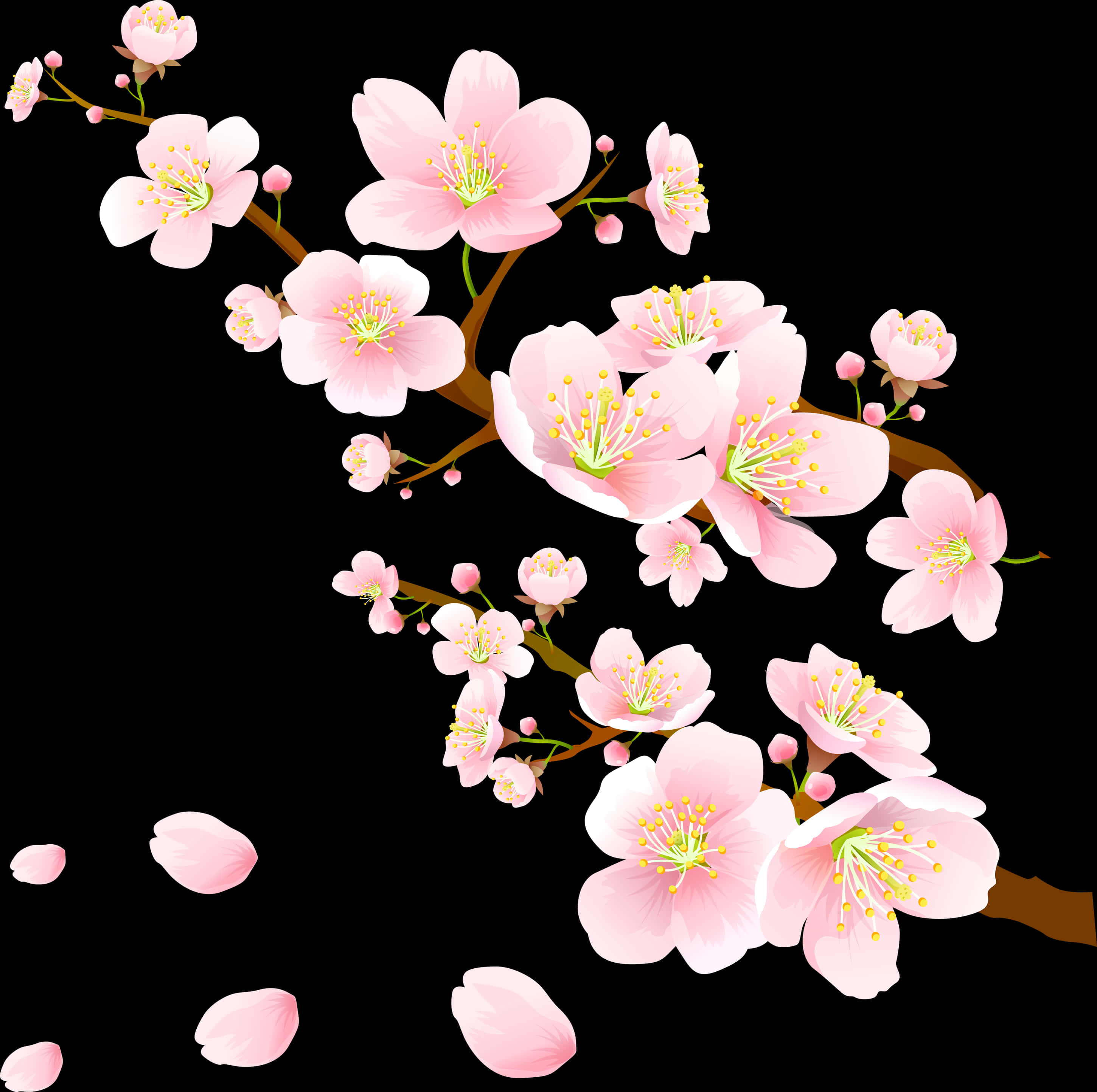 Flores de Cerezo Rosadas en Flor Fondos de pantalla