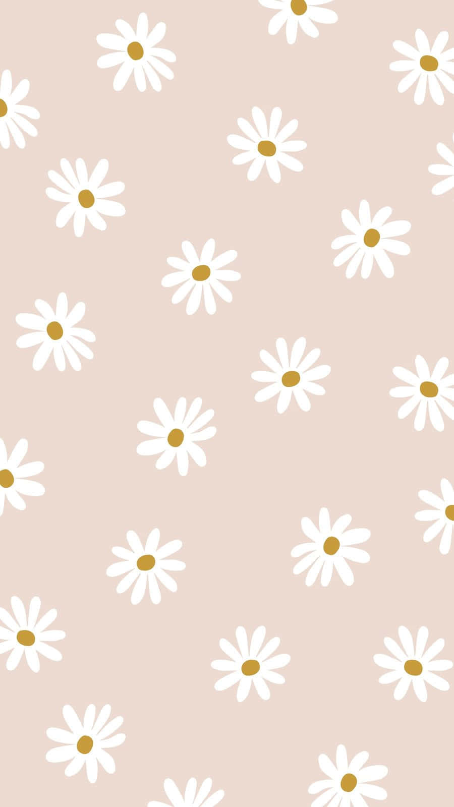 Flores en Floración en un Día Soleado Fondos de pantalla