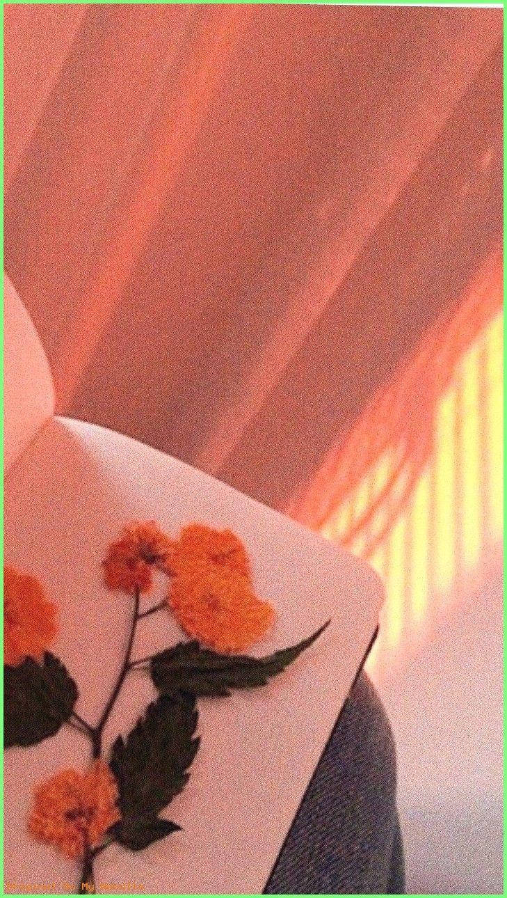 Flores estéticas en tono naranja pastel Fondos de pantalla