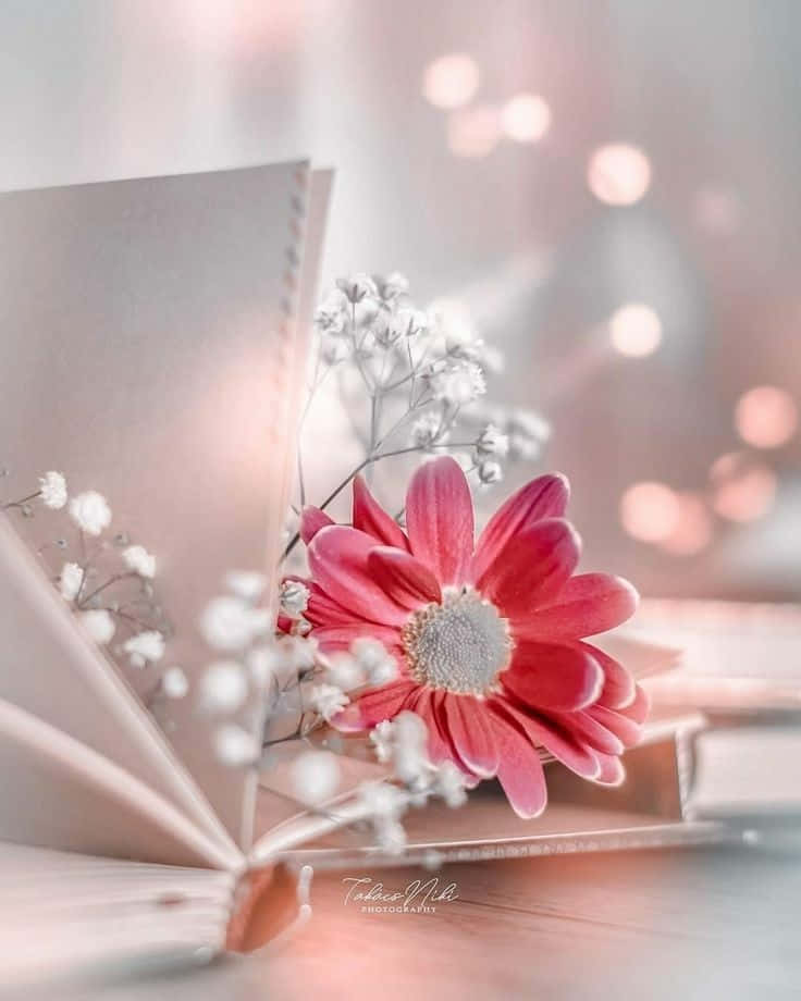 Flores Rojas y Plateadas para una Foto de Perfil Hermosa Fondos de pantalla