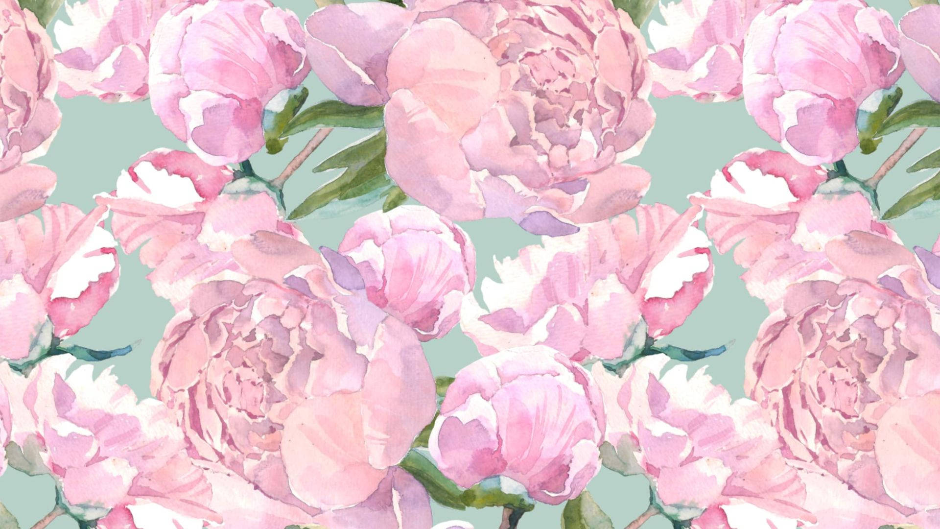 Flores rosas estéticas con hojas Fondos de pantalla