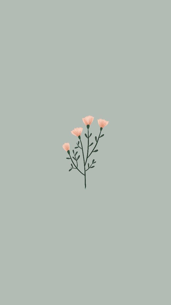 Flores rosas simples y lindas Fondos de pantalla