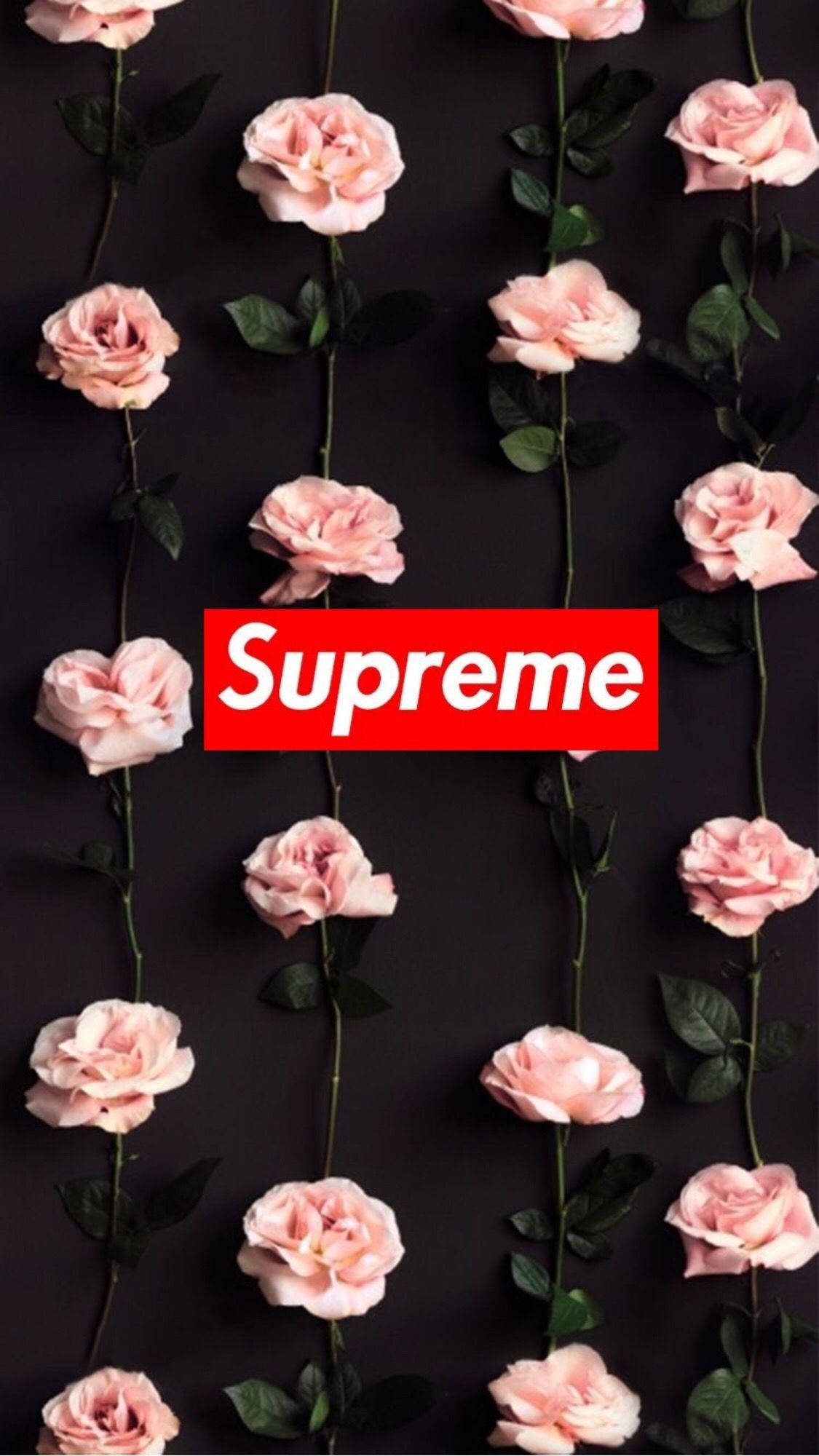 Flores Rosas Supreme Lindas para iPhone Fondos de pantalla