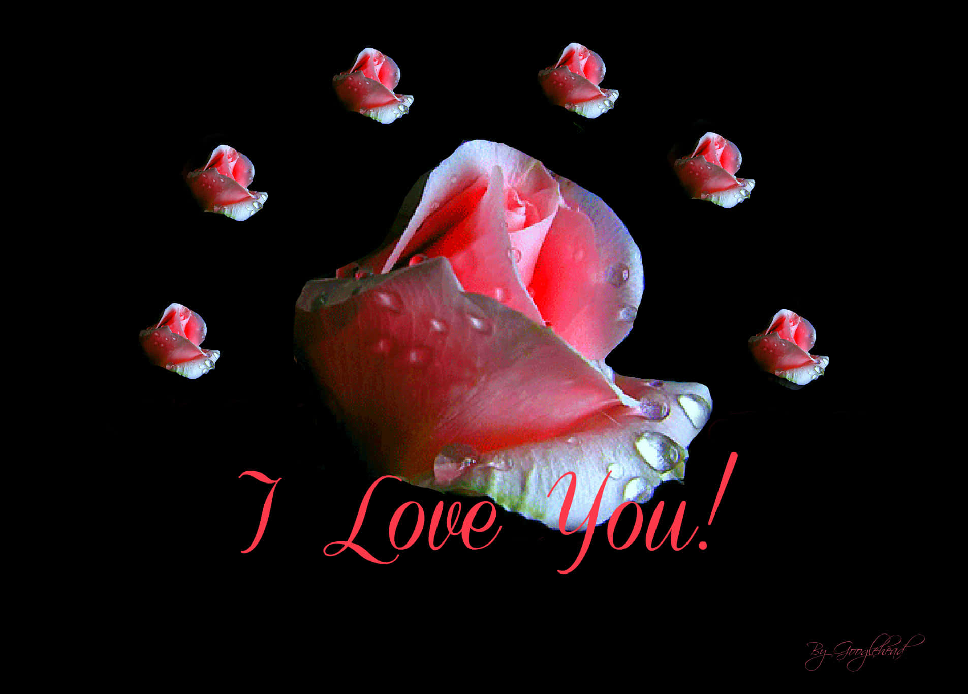 Flores rosas Te Amo imagen Fondos de pantalla
