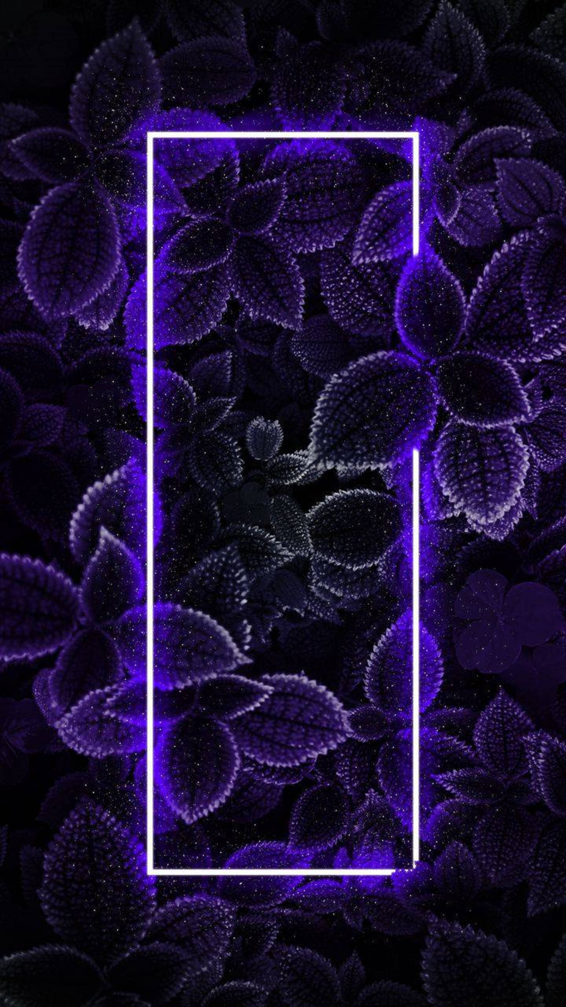 Follaje de iPhone con neón 4K Fondos de pantalla