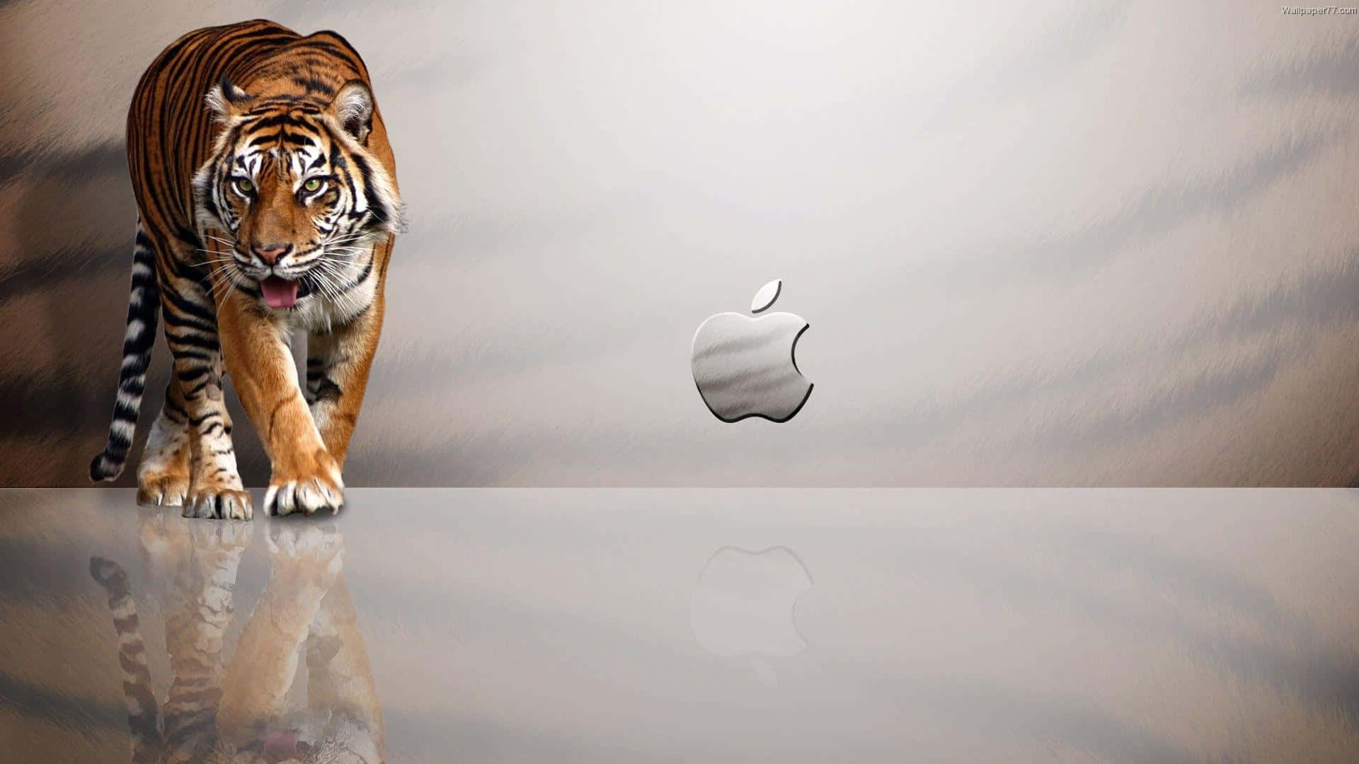 Fondo 1920x1080 de Apple Rayas de Tigre Fondos de pantalla
