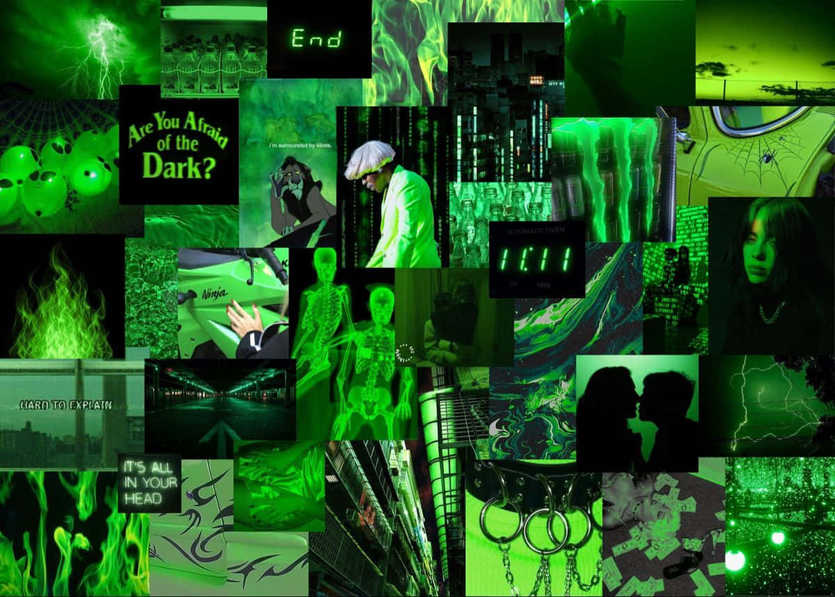 Fondo abstracto de líneas fluidas en verde oscuro encantador Fondos de pantalla
