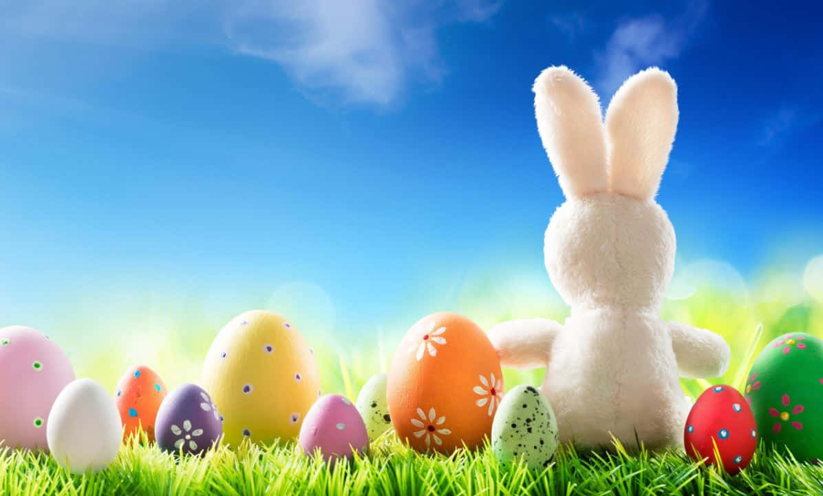 Fondo adorable temático de Pascua Fondos de pantalla