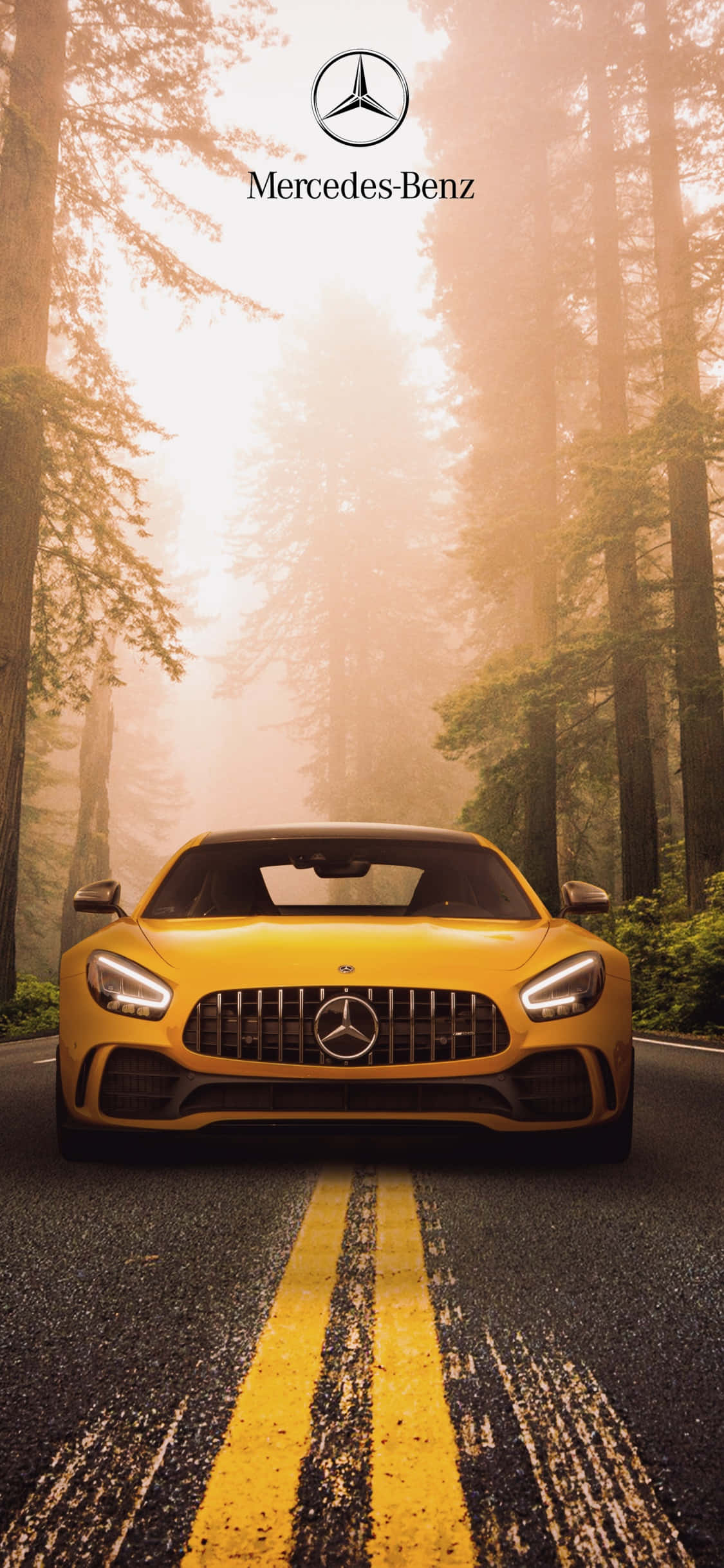 Fondo amarillo de iPhone Xs Mercedes Amg en el bosque Fondos de pantalla