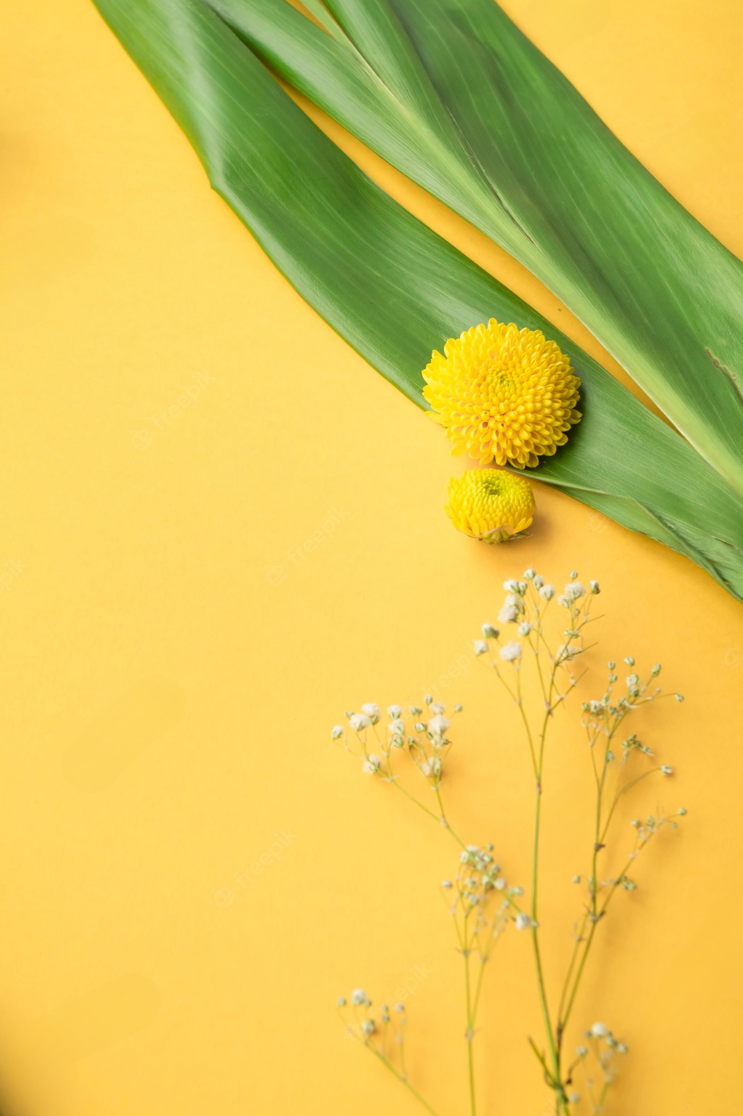 Fondo Amarillo Estético de Sol Radiante Fondos de pantalla