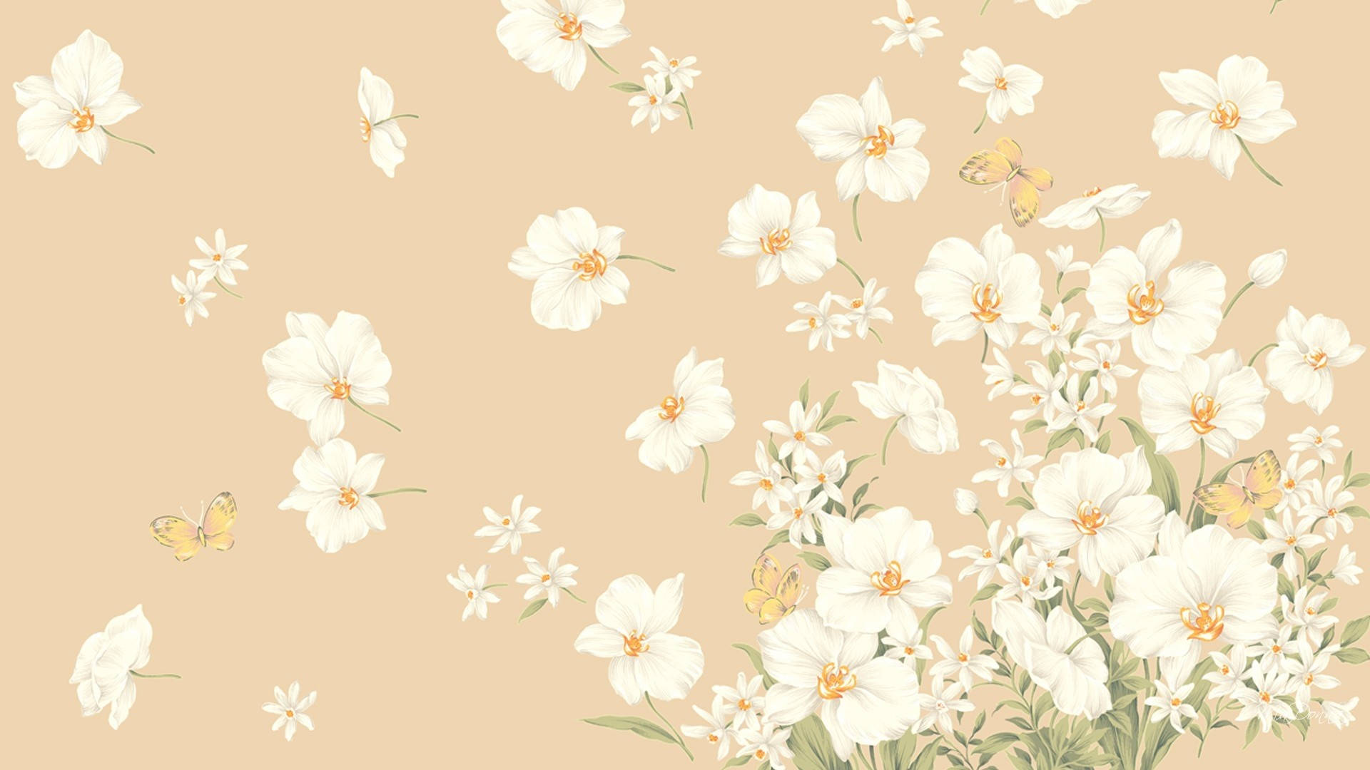 Fondo Beige Florido Estético para Laptop Fondos de pantalla