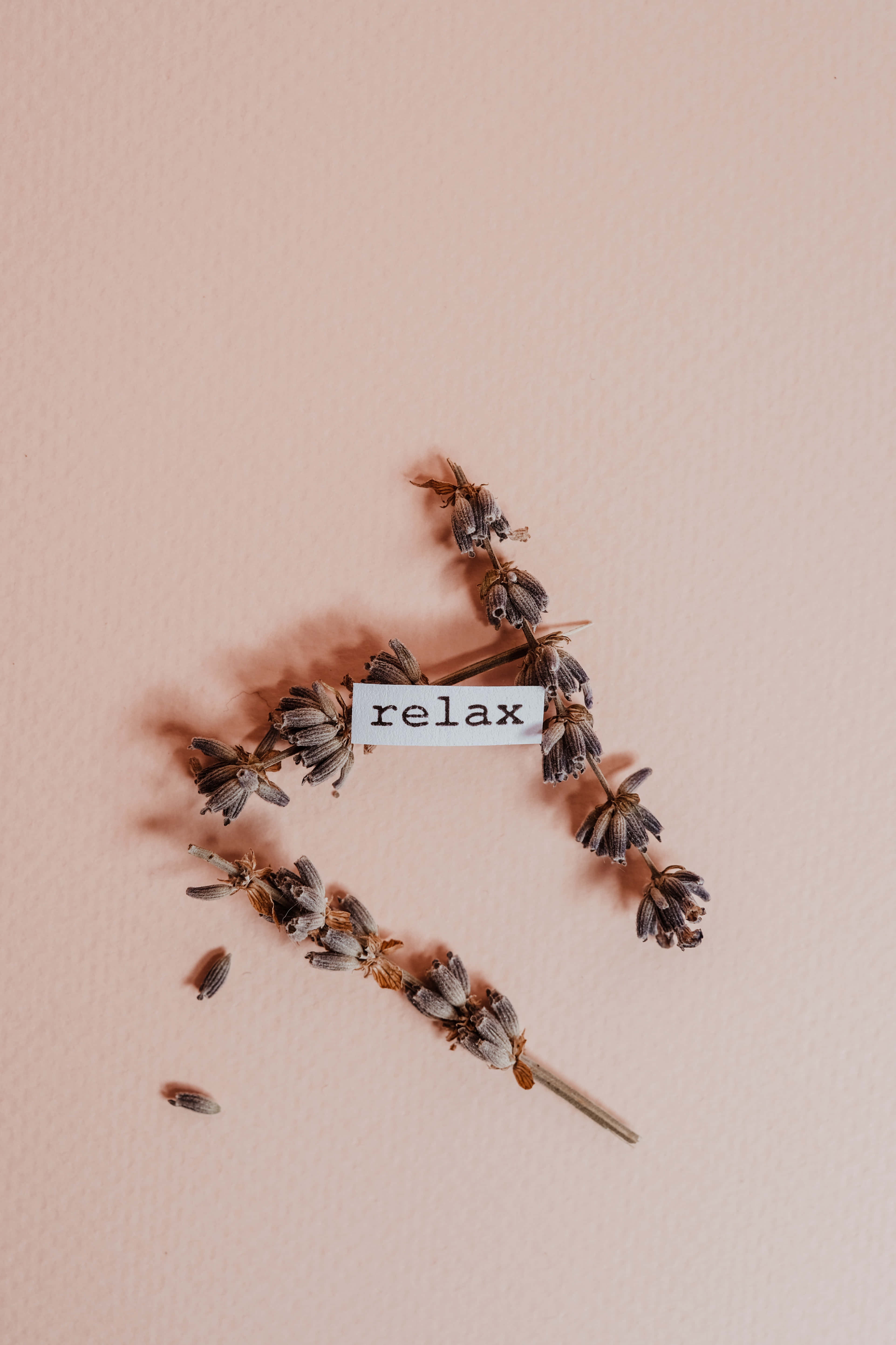 Fondo beige hermoso y estético Fondos de pantalla