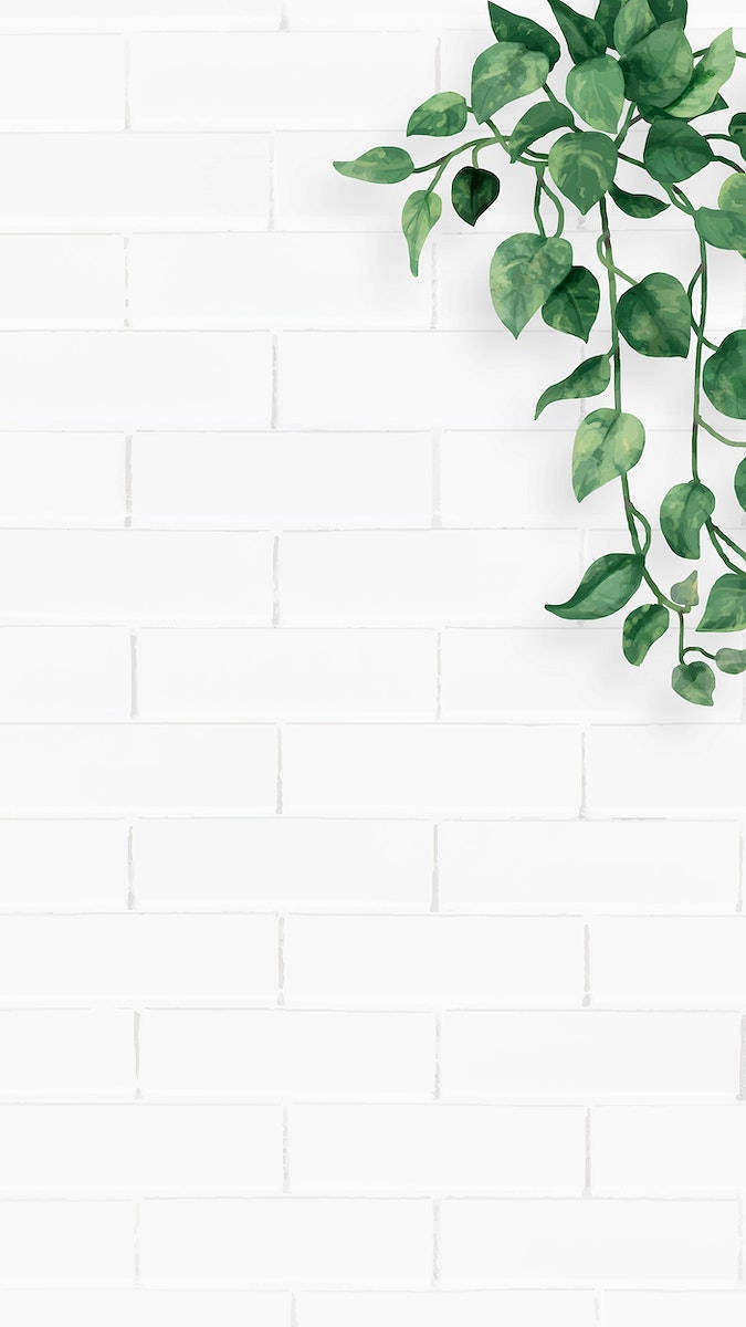 Fondo blanco estético para iPhone con planta colgante verde Fondos de pantalla