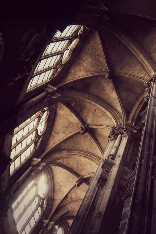 Fondo de Academia Oscura
