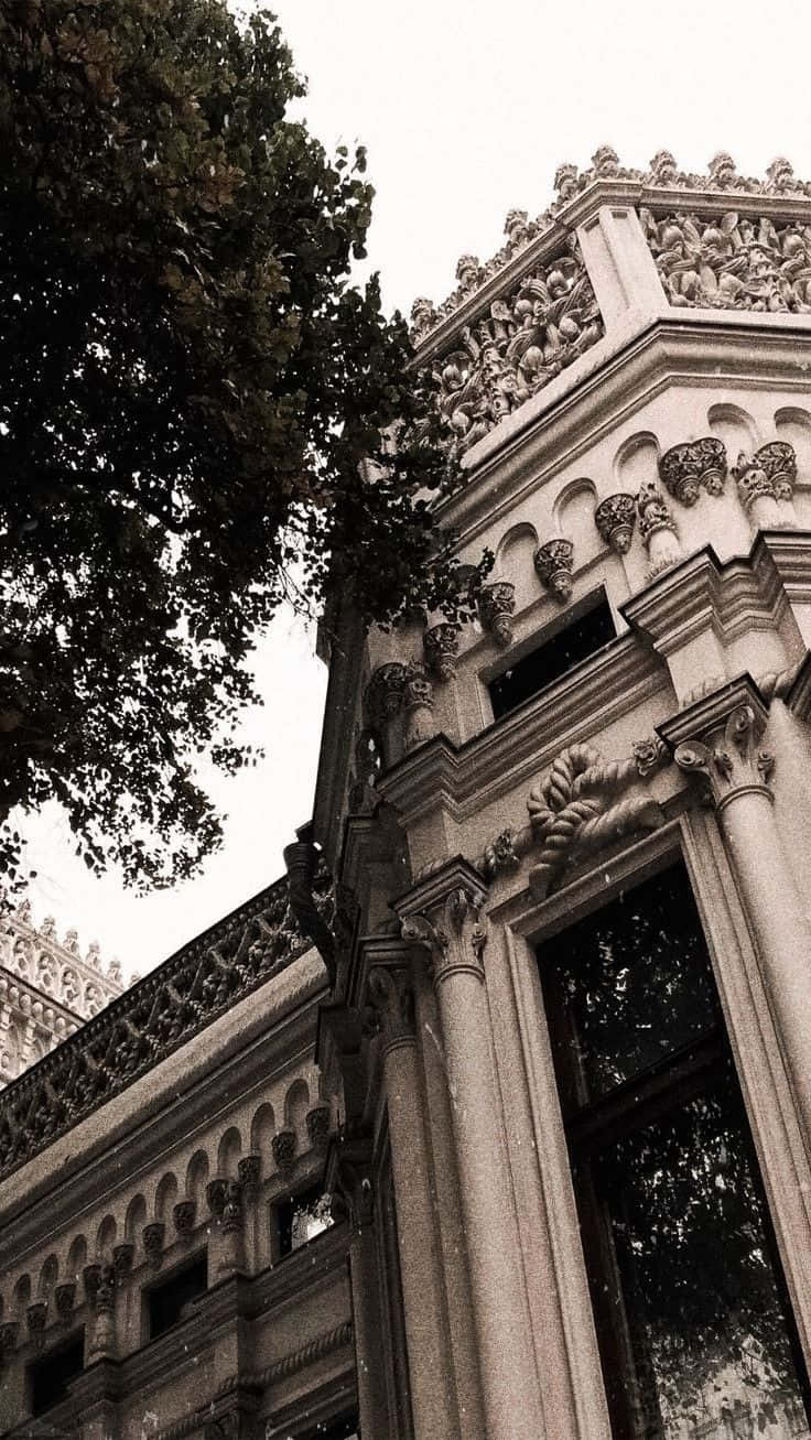 Fondo de Academia Oscura Fondos de pantalla